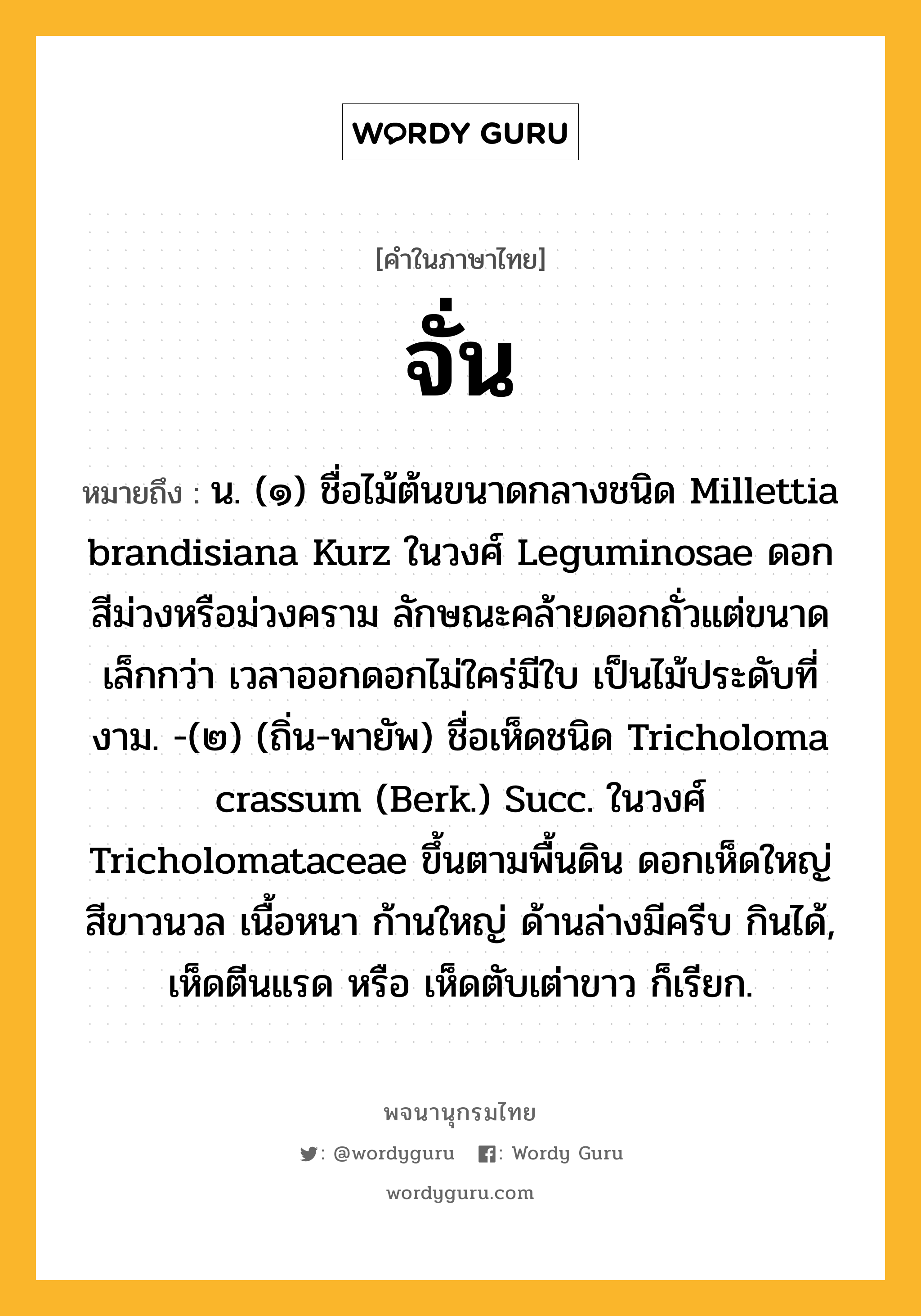 จั่น ความหมาย หมายถึงอะไร?, คำในภาษาไทย จั่น หมายถึง น. (๑) ชื่อไม้ต้นขนาดกลางชนิด Millettia brandisiana Kurz ในวงศ์ Leguminosae ดอกสีม่วงหรือม่วงคราม ลักษณะคล้ายดอกถั่วแต่ขนาดเล็กกว่า เวลาออกดอกไม่ใคร่มีใบ เป็นไม้ประดับที่งาม. -(๒) (ถิ่น-พายัพ) ชื่อเห็ดชนิด Tricholoma crassum (Berk.) Succ. ในวงศ์ Tricholomataceae ขึ้นตามพื้นดิน ดอกเห็ดใหญ่ สีขาวนวล เนื้อหนา ก้านใหญ่ ด้านล่างมีครีบ กินได้, เห็ดตีนแรด หรือ เห็ดตับเต่าขาว ก็เรียก.