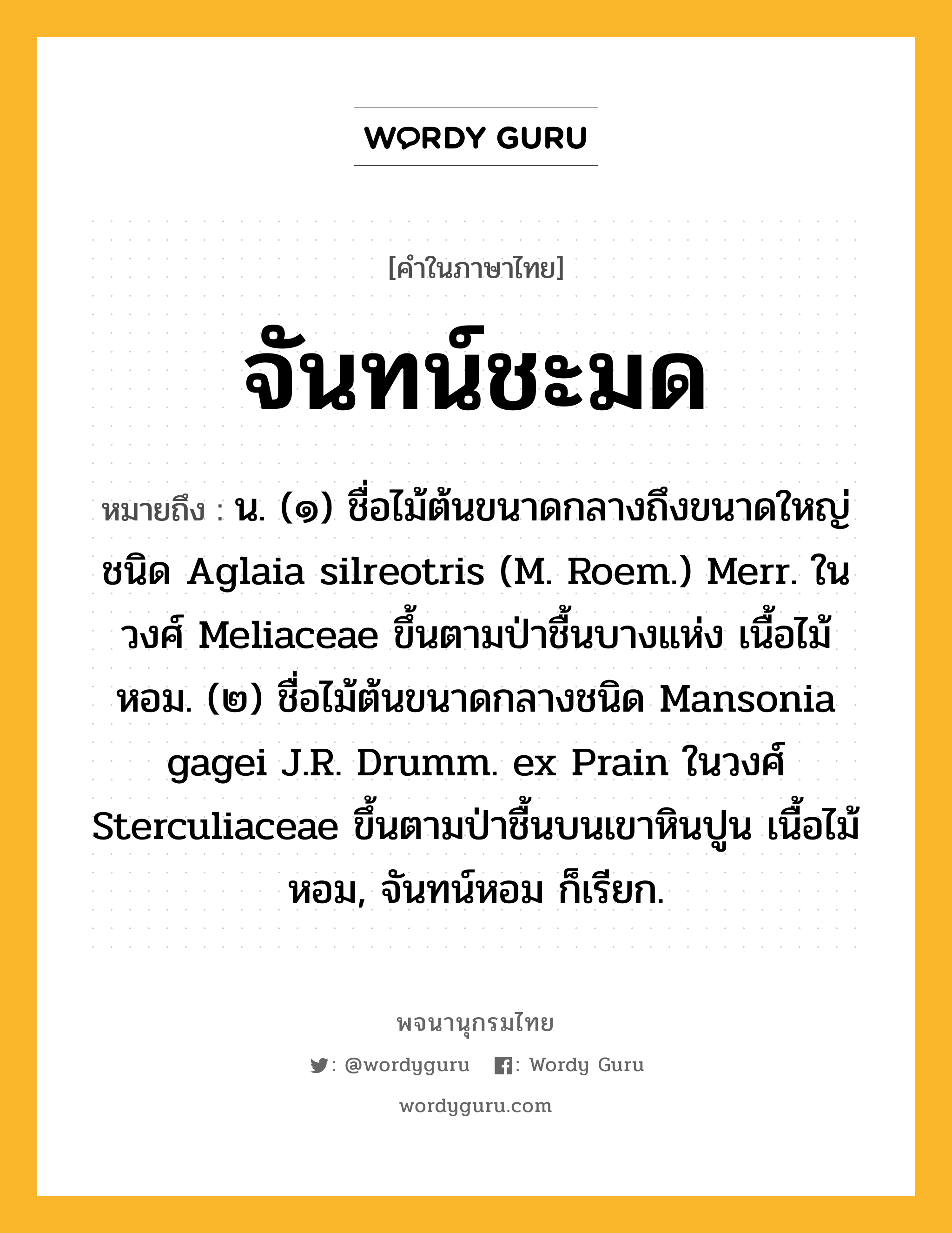 จันทน์ชะมด ความหมาย หมายถึงอะไร?, คำในภาษาไทย จันทน์ชะมด หมายถึง น. (๑) ชื่อไม้ต้นขนาดกลางถึงขนาดใหญ่ชนิด Aglaia silreotris (M. Roem.) Merr. ในวงศ์ Meliaceae ขึ้นตามป่าชื้นบางแห่ง เนื้อไม้หอม. (๒) ชื่อไม้ต้นขนาดกลางชนิด Mansonia gagei J.R. Drumm. ex Prain ในวงศ์ Sterculiaceae ขึ้นตามป่าชื้นบนเขาหินปูน เนื้อไม้หอม, จันทน์หอม ก็เรียก.