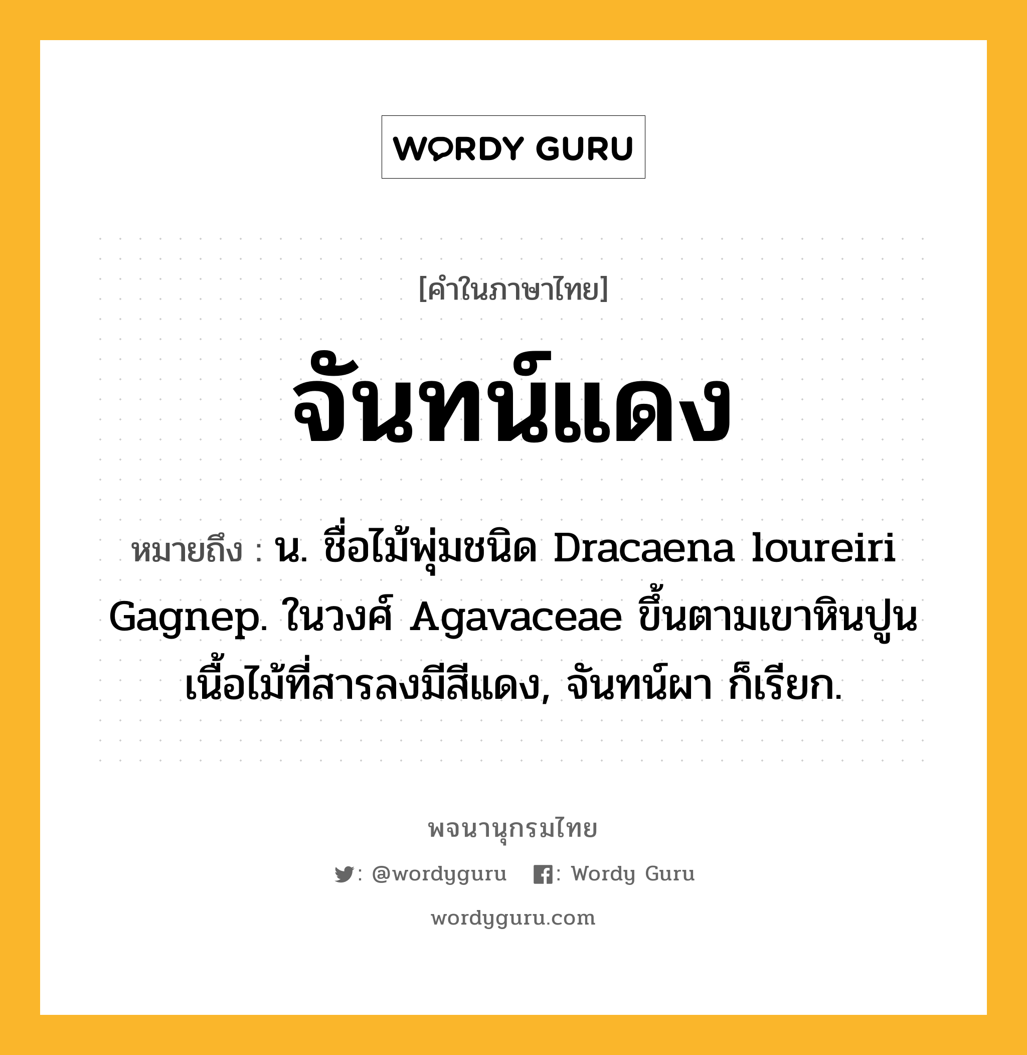 จันทน์แดง ความหมาย หมายถึงอะไร?, คำในภาษาไทย จันทน์แดง หมายถึง น. ชื่อไม้พุ่มชนิด Dracaena loureiri Gagnep. ในวงศ์ Agavaceae ขึ้นตามเขาหินปูน เนื้อไม้ที่สารลงมีสีแดง, จันทน์ผา ก็เรียก.