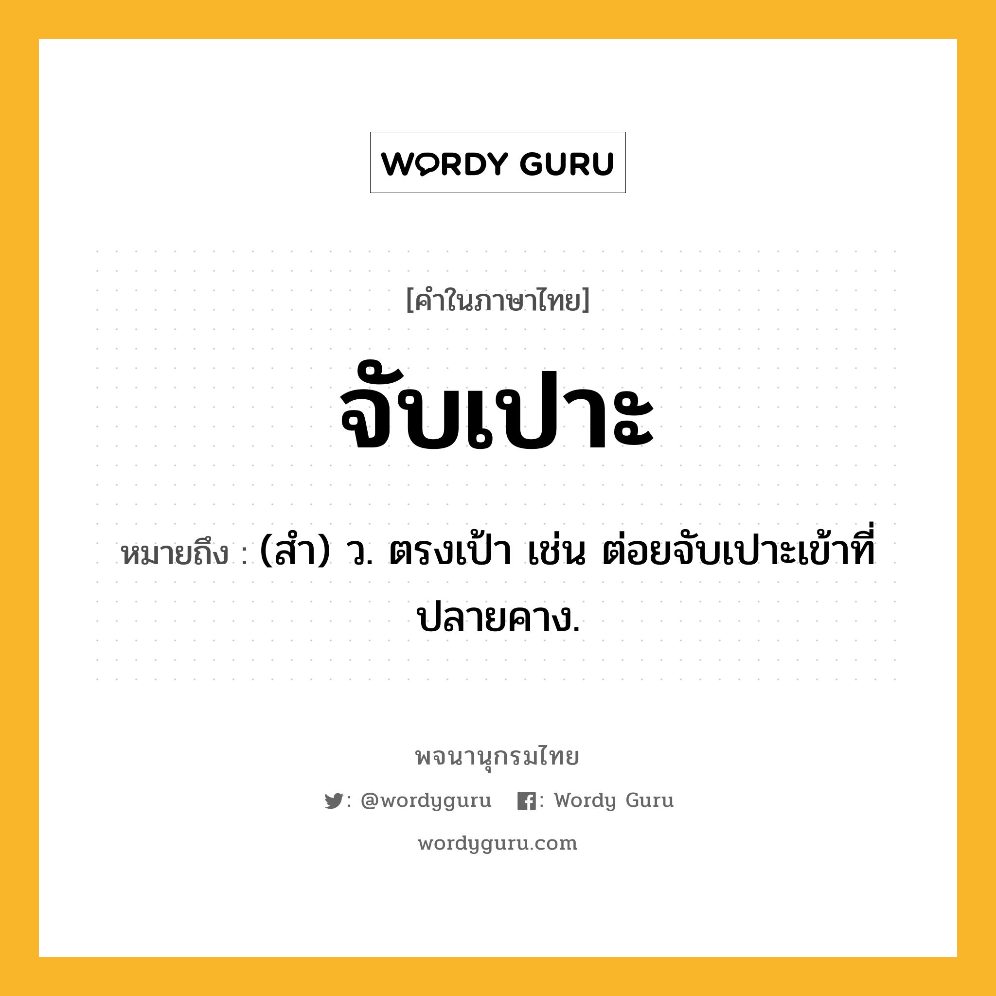 จับเปาะ ความหมาย หมายถึงอะไร?, คำในภาษาไทย จับเปาะ หมายถึง (สำ) ว. ตรงเป้า เช่น ต่อยจับเปาะเข้าที่ปลายคาง.