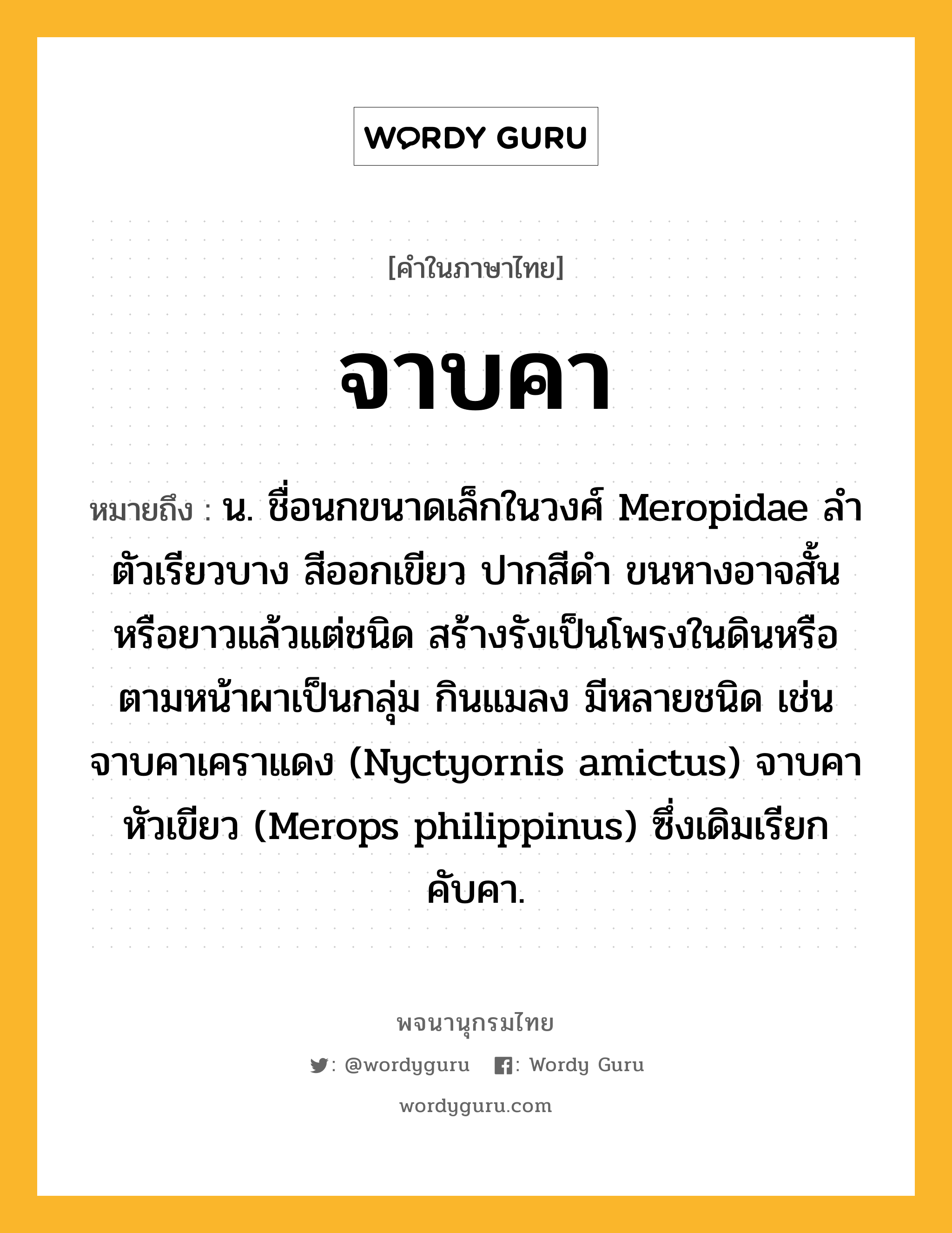 จาบคา ความหมาย หมายถึงอะไร?, คำในภาษาไทย จาบคา หมายถึง น. ชื่อนกขนาดเล็กในวงศ์ Meropidae ลำตัวเรียวบาง สีออกเขียว ปากสีดำ ขนหางอาจสั้นหรือยาวแล้วแต่ชนิด สร้างรังเป็นโพรงในดินหรือตามหน้าผาเป็นกลุ่ม กินแมลง มีหลายชนิด เช่น จาบคาเคราแดง (Nyctyornis amictus) จาบคาหัวเขียว (Merops philippinus) ซึ่งเดิมเรียก คับคา.