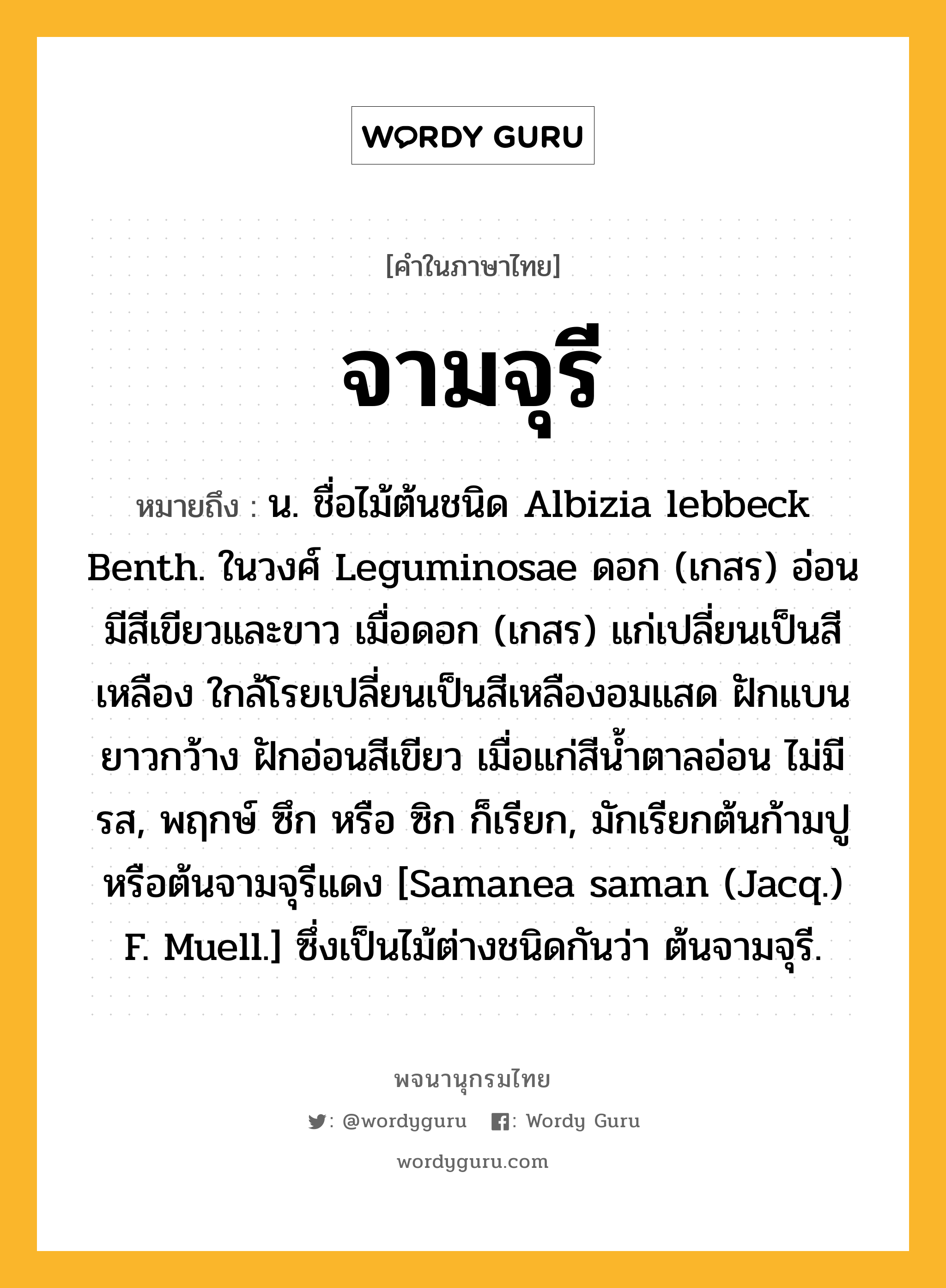 จามจุรี ความหมาย หมายถึงอะไร?, คำในภาษาไทย จามจุรี หมายถึง น. ชื่อไม้ต้นชนิด Albizia lebbeck Benth. ในวงศ์ Leguminosae ดอก (เกสร) อ่อนมีสีเขียวและขาว เมื่อดอก (เกสร) แก่เปลี่ยนเป็นสีเหลือง ใกล้โรยเปลี่ยนเป็นสีเหลืองอมแสด ฝักแบนยาวกว้าง ฝักอ่อนสีเขียว เมื่อแก่สีนํ้าตาลอ่อน ไม่มีรส, พฤกษ์ ซึก หรือ ซิก ก็เรียก, มักเรียกต้นก้ามปู หรือต้นจามจุรีแดง [Samanea saman (Jacq.) F. Muell.] ซึ่งเป็นไม้ต่างชนิดกันว่า ต้นจามจุรี.