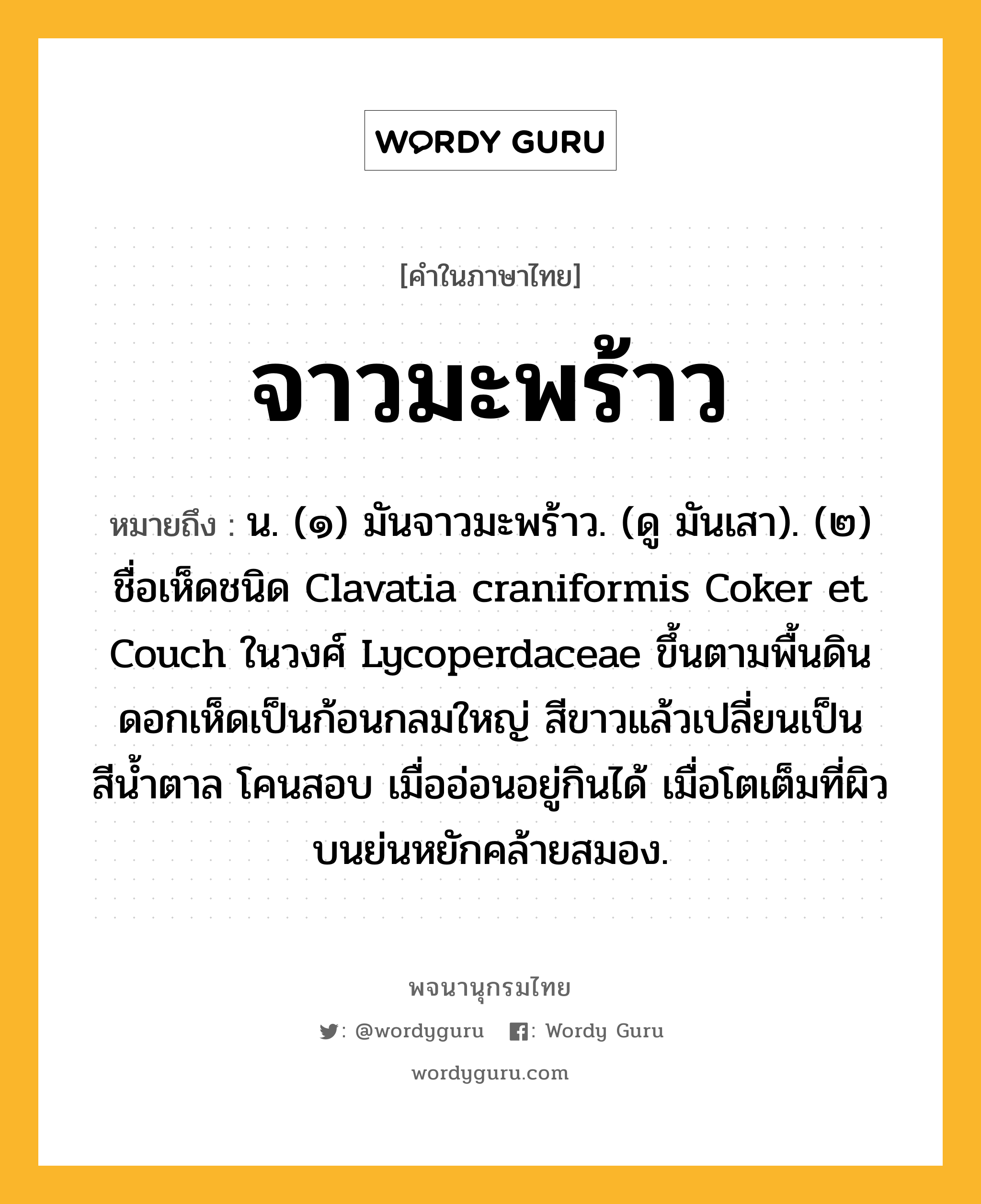 จาวมะพร้าว ความหมาย หมายถึงอะไร?, คำในภาษาไทย จาวมะพร้าว หมายถึง น. (๑) มันจาวมะพร้าว. (ดู มันเสา). (๒) ชื่อเห็ดชนิด Clavatia craniformis Coker et Couch ในวงศ์ Lycoperdaceae ขึ้นตามพื้นดิน ดอกเห็ดเป็นก้อนกลมใหญ่ สีขาวแล้วเปลี่ยนเป็นสีนํ้าตาล โคนสอบ เมื่ออ่อนอยู่กินได้ เมื่อโตเต็มที่ผิวบนย่นหยักคล้ายสมอง.