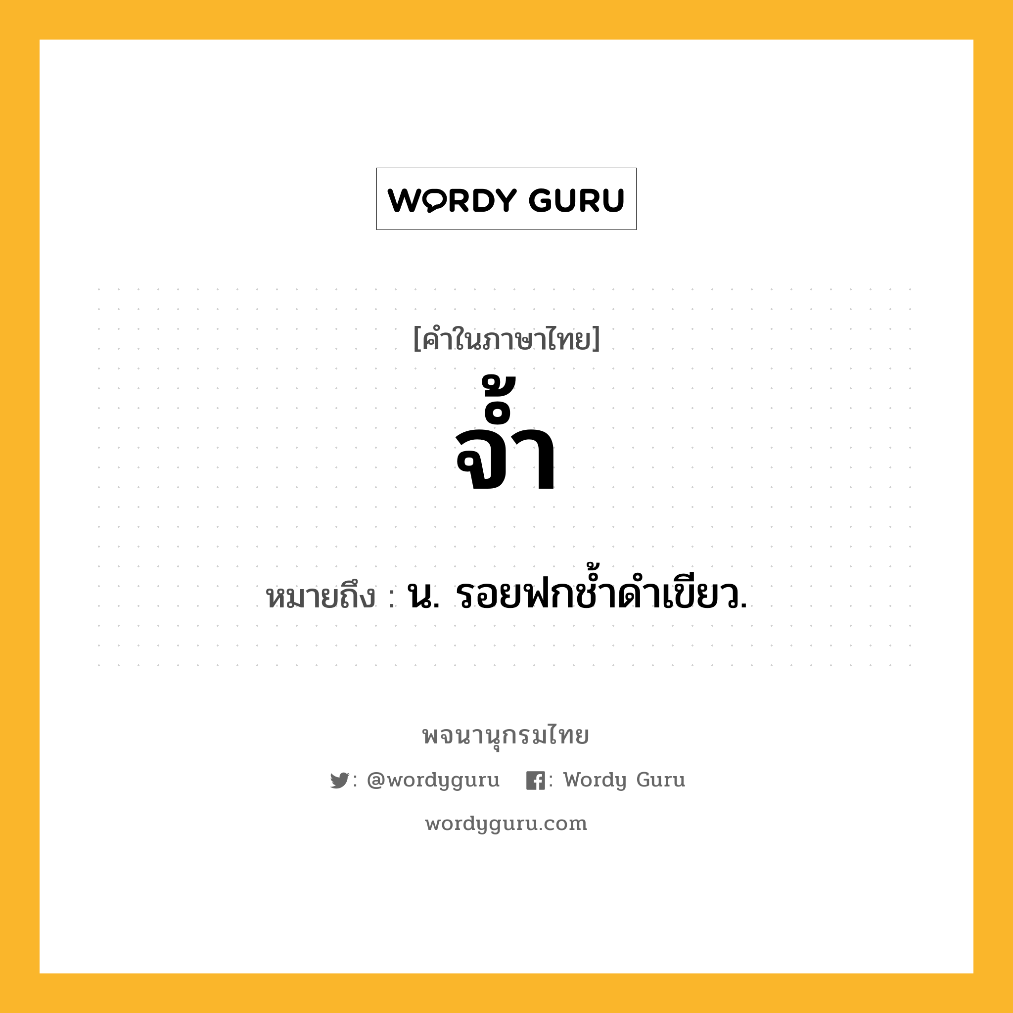 จ้ำ ความหมาย หมายถึงอะไร?, คำในภาษาไทย จ้ำ หมายถึง น. รอยฟกชํ้าดําเขียว.