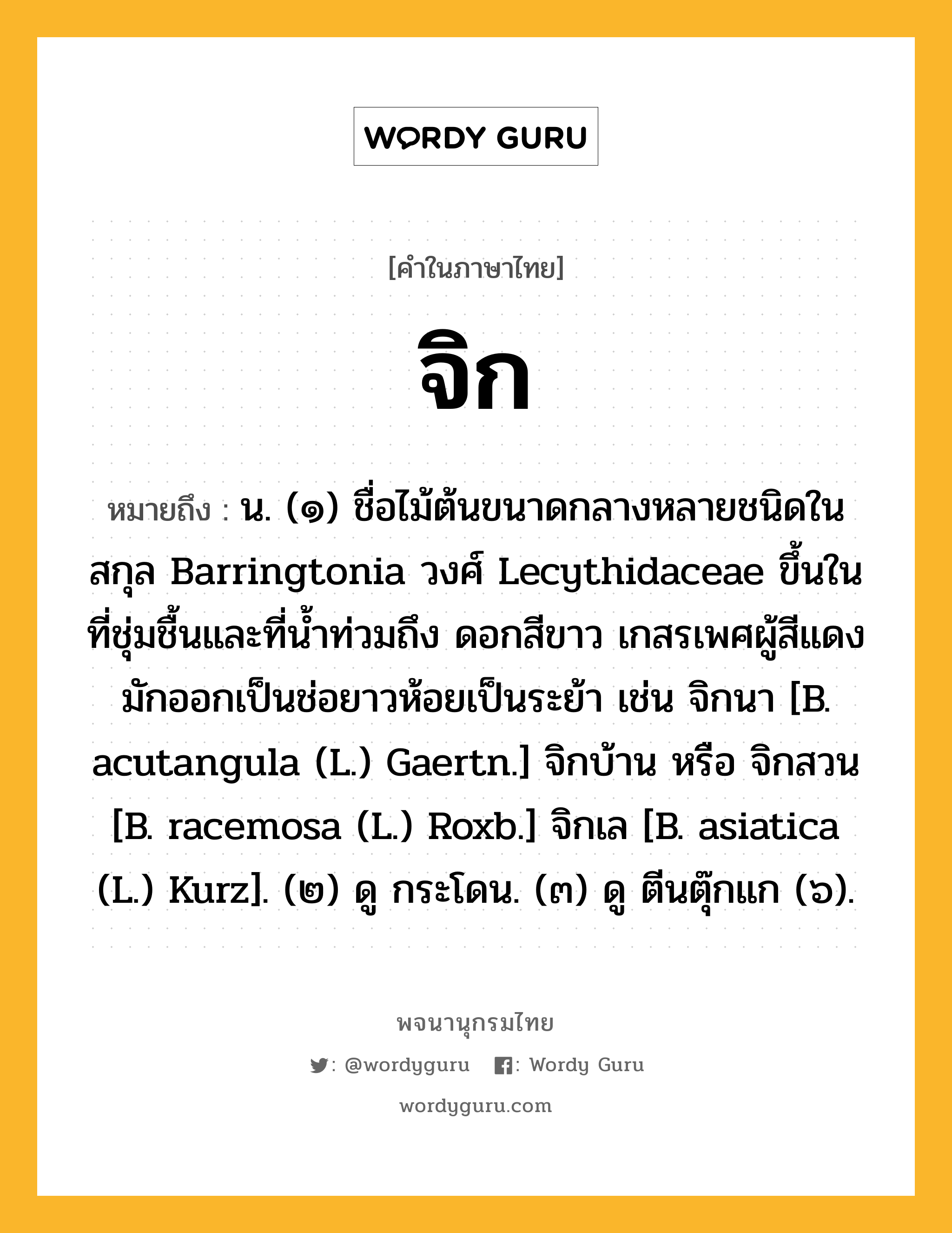 จิก ความหมาย หมายถึงอะไร?, คำในภาษาไทย จิก หมายถึง น. (๑) ชื่อไม้ต้นขนาดกลางหลายชนิดในสกุล Barringtonia วงศ์ Lecythidaceae ขึ้นในที่ชุ่มชื้นและที่นํ้าท่วมถึง ดอกสีขาว เกสรเพศผู้สีแดงมักออกเป็นช่อยาวห้อยเป็นระย้า เช่น จิกนา [B. acutangula (L.) Gaertn.] จิกบ้าน หรือ จิกสวน [B. racemosa (L.) Roxb.] จิกเล [B. asiatica (L.) Kurz]. (๒) ดู กระโดน. (๓) ดู ตีนตุ๊กแก (๖).