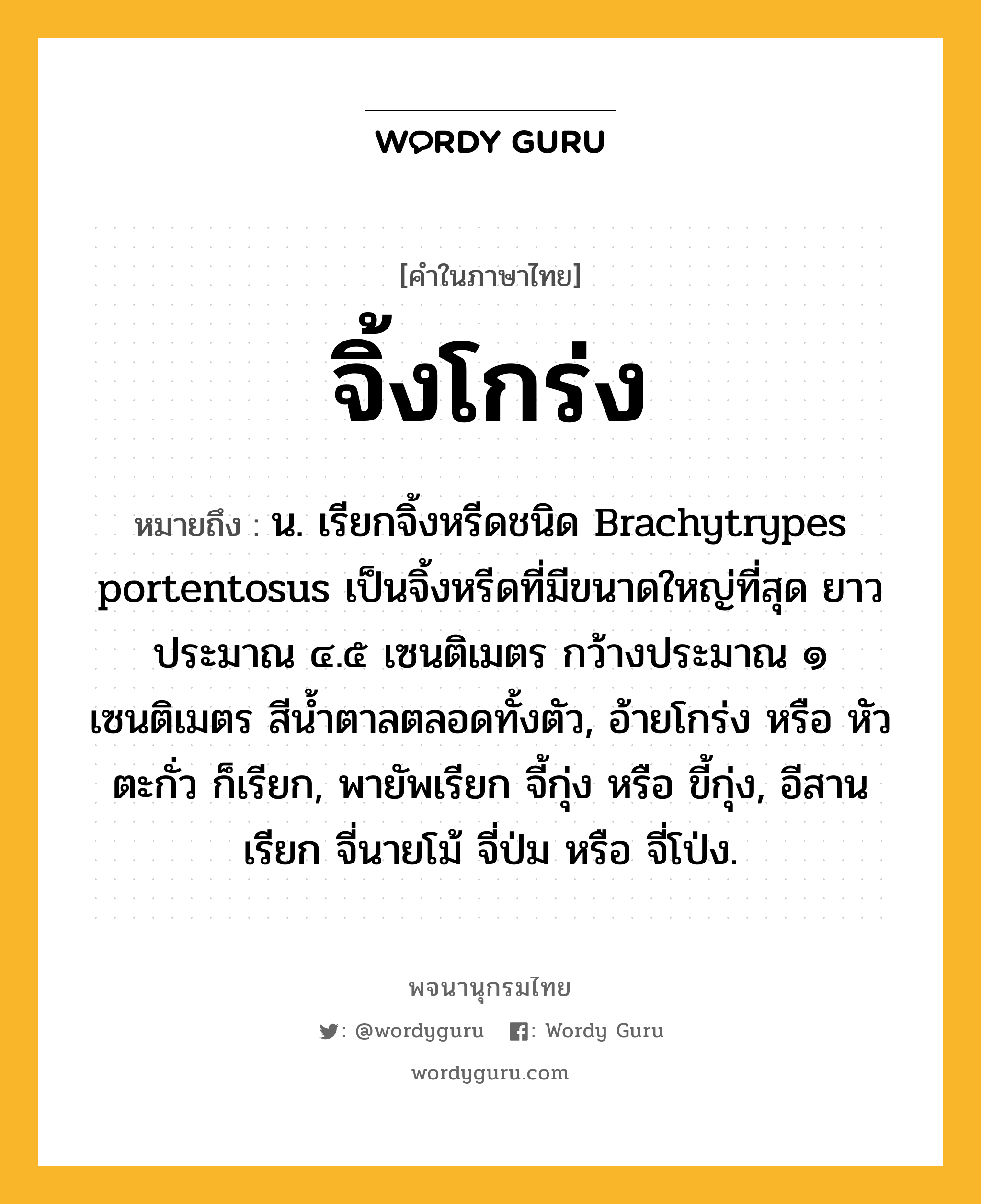 จิ้งโกร่ง ความหมาย หมายถึงอะไร?, คำในภาษาไทย จิ้งโกร่ง หมายถึง น. เรียกจิ้งหรีดชนิด Brachytrypes portentosus เป็นจิ้งหรีดที่มีขนาดใหญ่ที่สุด ยาวประมาณ ๔.๕ เซนติเมตร กว้างประมาณ ๑ เซนติเมตร สีน้ำตาลตลอดทั้งตัว, อ้ายโกร่ง หรือ หัวตะกั่ว ก็เรียก, พายัพเรียก จี้กุ่ง หรือ ขี้กุ่ง, อีสานเรียก จี่นายโม้ จี่ป่ม หรือ จี่โป่ง.