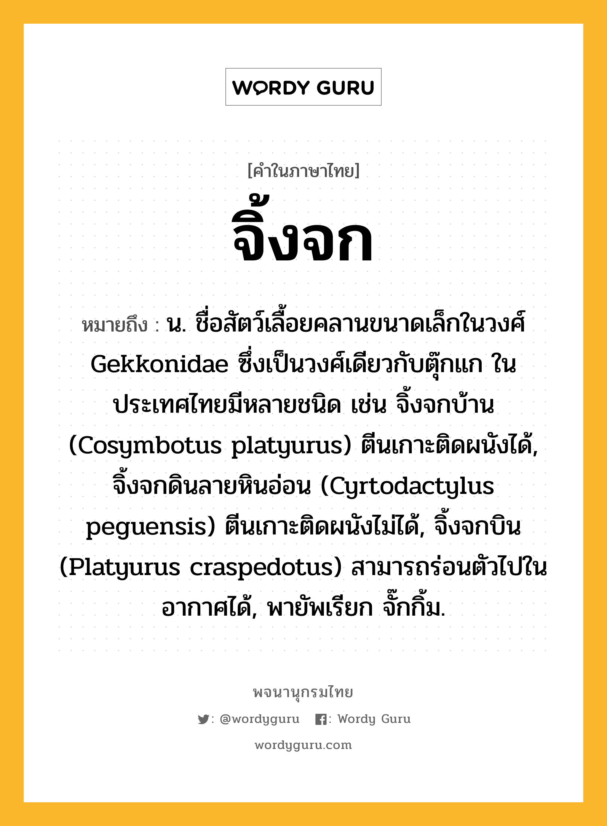 จิ้งจก ความหมาย หมายถึงอะไร?, คำในภาษาไทย จิ้งจก หมายถึง น. ชื่อสัตว์เลื้อยคลานขนาดเล็กในวงศ์ Gekkonidae ซึ่งเป็นวงศ์เดียวกับตุ๊กแก ในประเทศไทยมีหลายชนิด เช่น จิ้งจกบ้าน (Cosymbotus platyurus) ตีนเกาะติดผนังได้, จิ้งจกดินลายหินอ่อน (Cyrtodactylus peguensis) ตีนเกาะติดผนังไม่ได้, จิ้งจกบิน (Platyurus craspedotus) สามารถร่อนตัวไปในอากาศได้, พายัพเรียก จั๊กกิ้ม.