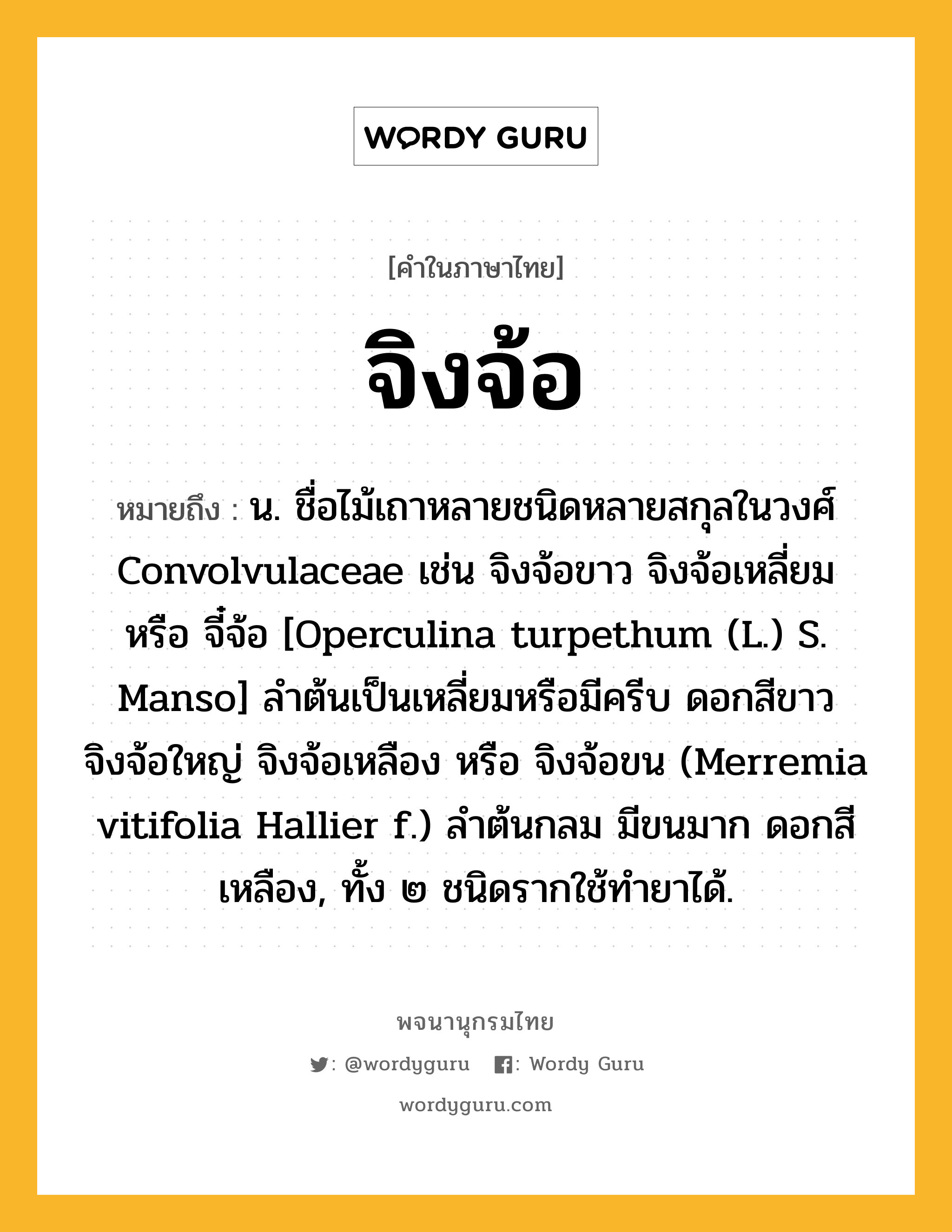 จิงจ้อ ความหมาย หมายถึงอะไร?, คำในภาษาไทย จิงจ้อ หมายถึง น. ชื่อไม้เถาหลายชนิดหลายสกุลในวงศ์ Convolvulaceae เช่น จิงจ้อขาว จิงจ้อเหลี่ยม หรือ จี๋จ้อ [Operculina turpethum (L.) S. Manso] ลําต้นเป็นเหลี่ยมหรือมีครีบ ดอกสีขาว จิงจ้อใหญ่ จิงจ้อเหลือง หรือ จิงจ้อขน (Merremia vitifolia Hallier f.) ลําต้นกลม มีขนมาก ดอกสีเหลือง, ทั้ง ๒ ชนิดรากใช้ทํายาได้.