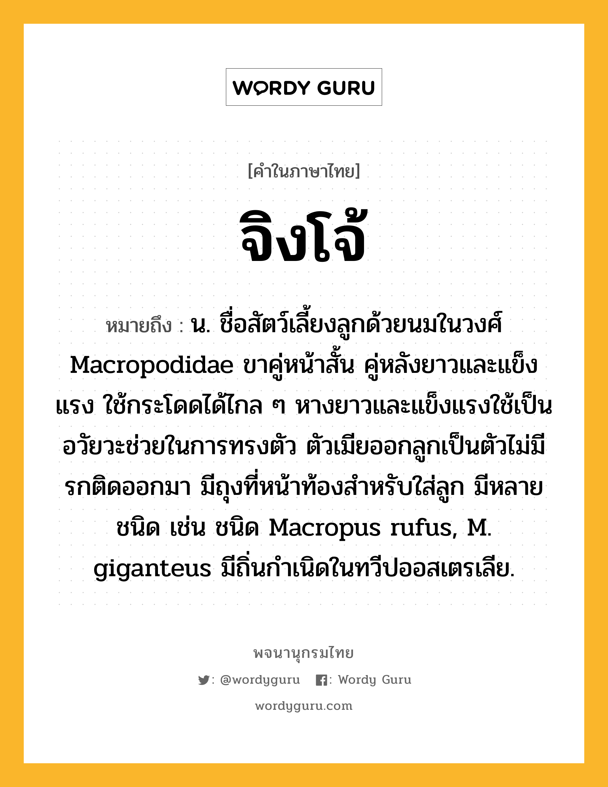 จิงโจ้ ความหมาย หมายถึงอะไร?, คำในภาษาไทย จิงโจ้ หมายถึง น. ชื่อสัตว์เลี้ยงลูกด้วยนมในวงศ์ Macropodidae ขาคู่หน้าสั้น คู่หลังยาวและแข็งแรง ใช้กระโดดได้ไกล ๆ หางยาวและแข็งแรงใช้เป็นอวัยวะช่วยในการทรงตัว ตัวเมียออกลูกเป็นตัวไม่มีรกติดออกมา มีถุงที่หน้าท้องสําหรับใส่ลูก มีหลายชนิด เช่น ชนิด Macropus rufus, M. giganteus มีถิ่นกําเนิดในทวีปออสเตรเลีย.