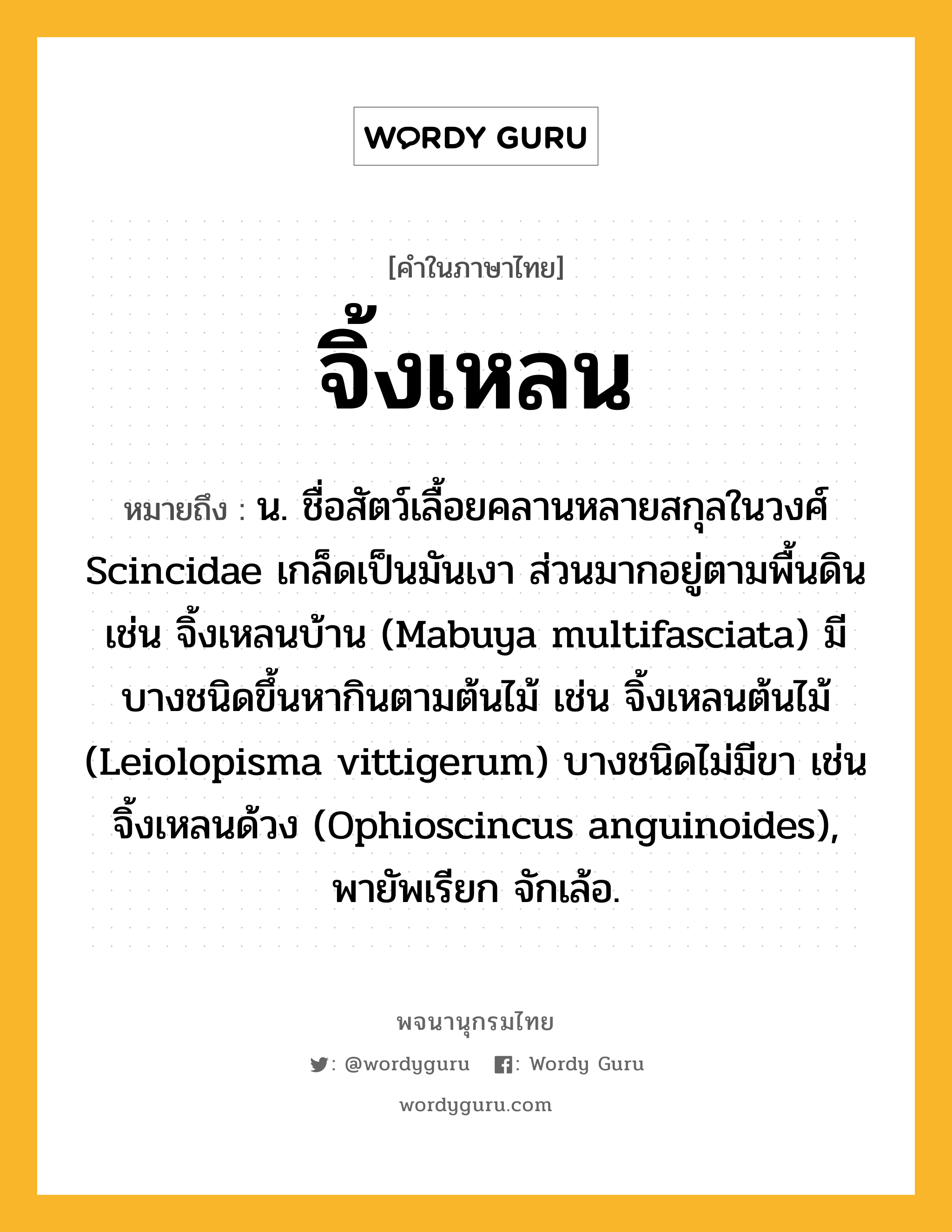 จิ้งเหลน ความหมาย หมายถึงอะไร?, คำในภาษาไทย จิ้งเหลน หมายถึง น. ชื่อสัตว์เลื้อยคลานหลายสกุลในวงศ์ Scincidae เกล็ดเป็นมันเงา ส่วนมากอยู่ตามพื้นดิน เช่น จิ้งเหลนบ้าน (Mabuya multifasciata) มีบางชนิดขึ้นหากินตามต้นไม้ เช่น จิ้งเหลนต้นไม้ (Leiolopisma vittigerum) บางชนิดไม่มีขา เช่น จิ้งเหลนด้วง (Ophioscincus anguinoides), พายัพเรียก จักเล้อ.