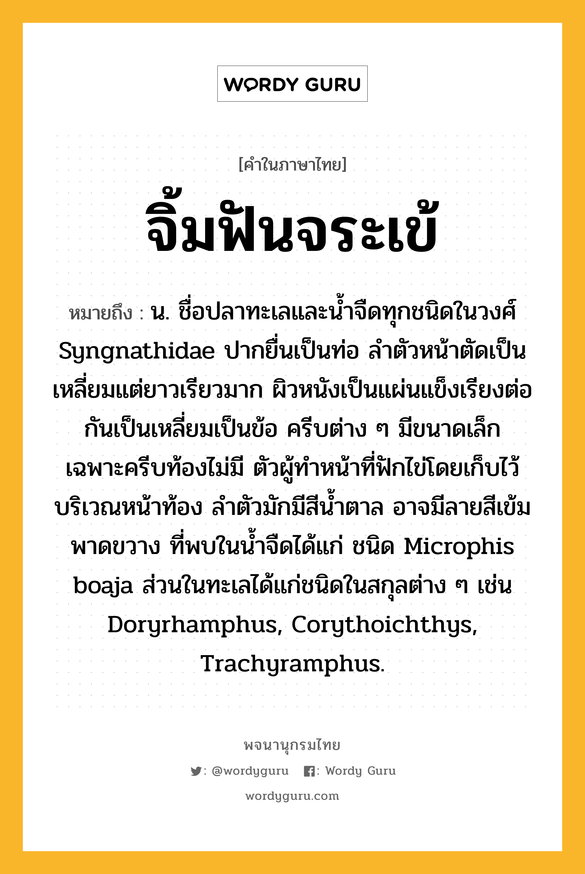 จิ้มฟันจระเข้ ความหมาย หมายถึงอะไร?, คำในภาษาไทย จิ้มฟันจระเข้ หมายถึง น. ชื่อปลาทะเลและนํ้าจืดทุกชนิดในวงศ์ Syngnathidae ปากยื่นเป็นท่อ ลําตัวหน้าตัดเป็นเหลี่ยมแต่ยาวเรียวมาก ผิวหนังเป็นแผ่นแข็งเรียงต่อกันเป็นเหลี่ยมเป็นข้อ ครีบต่าง ๆ มีขนาดเล็ก เฉพาะครีบท้องไม่มี ตัวผู้ทําหน้าที่ฟักไข่โดยเก็บไว้บริเวณหน้าท้อง ลําตัวมักมีสีนํ้าตาล อาจมีลายสีเข้มพาดขวาง ที่พบในนํ้าจืดได้แก่ ชนิด Microphis boaja ส่วนในทะเลได้แก่ชนิดในสกุลต่าง ๆ เช่น Doryrhamphus, Corythoichthys, Trachyramphus.