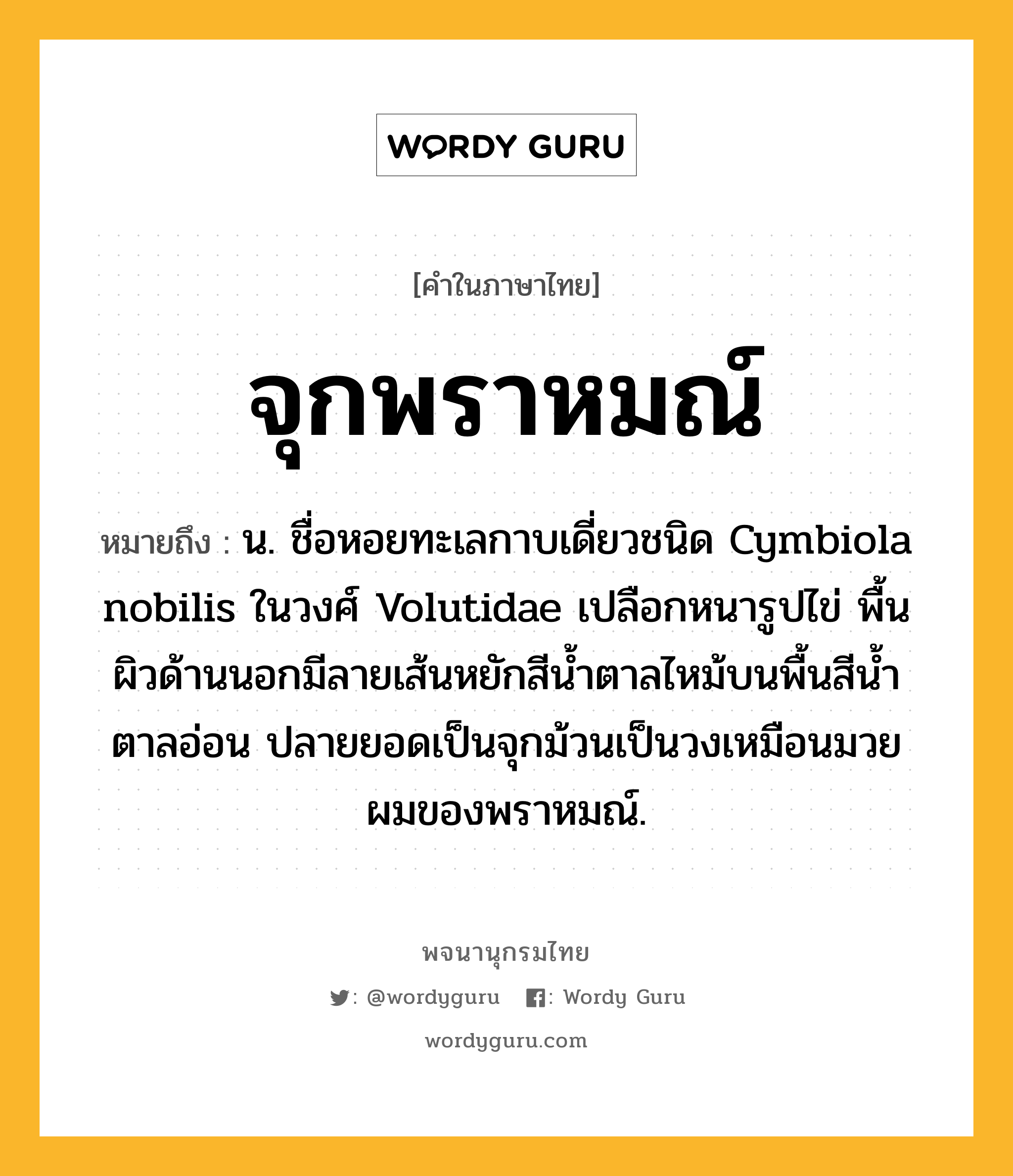 จุกพราหมณ์ ความหมาย หมายถึงอะไร?, คำในภาษาไทย จุกพราหมณ์ หมายถึง น. ชื่อหอยทะเลกาบเดี่ยวชนิด Cymbiola nobilis ในวงศ์ Volutidae เปลือกหนารูปไข่ พื้นผิวด้านนอกมีลายเส้นหยักสีนํ้าตาลไหม้บนพื้นสีนํ้าตาลอ่อน ปลายยอดเป็นจุกม้วนเป็นวงเหมือนมวยผมของพราหมณ์.