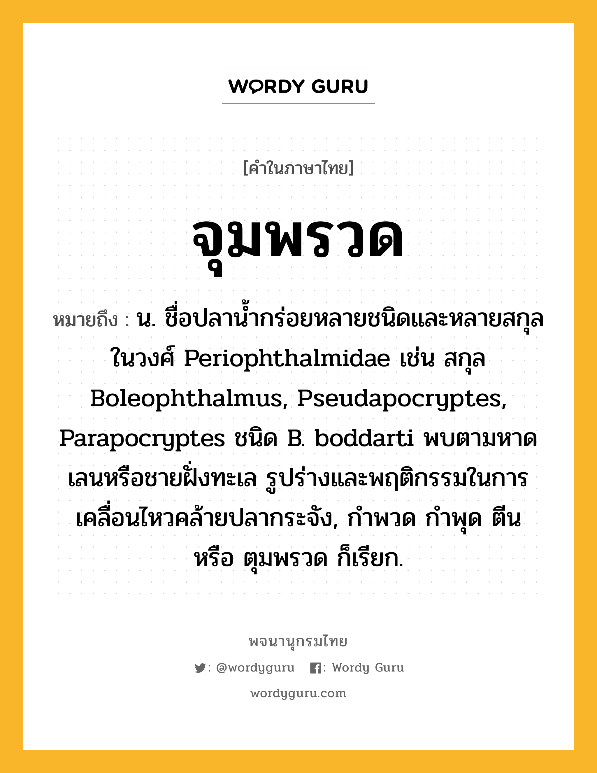 จุมพรวด ความหมาย หมายถึงอะไร?, คำในภาษาไทย จุมพรวด หมายถึง น. ชื่อปลาน้ำกร่อยหลายชนิดและหลายสกุลในวงศ์ Periophthalmidae เช่น สกุล Boleophthalmus, Pseudapocryptes, Parapocryptes ชนิด B. boddarti พบตามหาดเลนหรือชายฝั่งทะเล รูปร่างและพฤติกรรมในการเคลื่อนไหวคล้ายปลากระจัง, กำพวด กำพุด ตีน หรือ ตุมพรวด ก็เรียก.