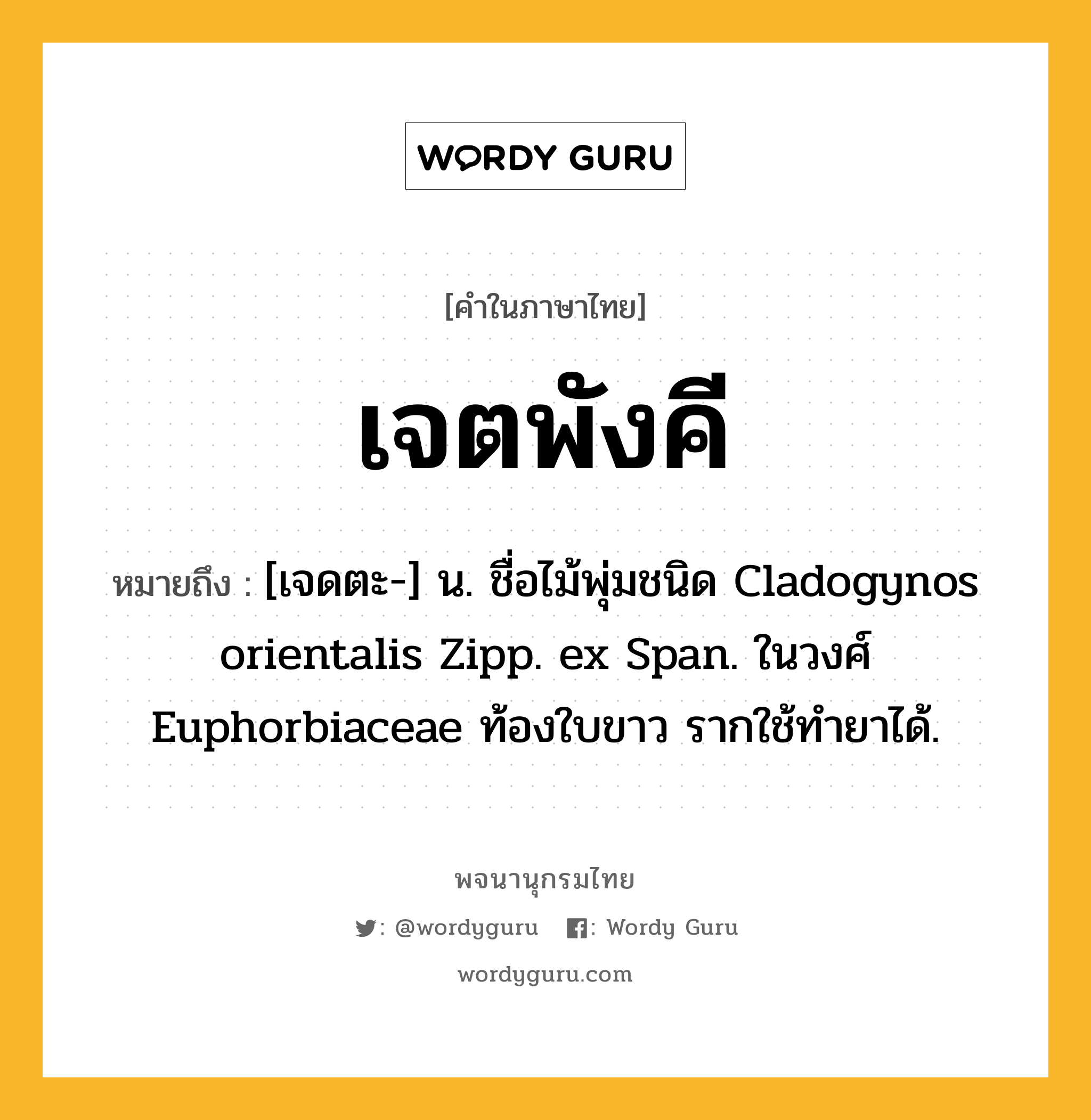 เจตพังคี ความหมาย หมายถึงอะไร?, คำในภาษาไทย เจตพังคี หมายถึง [เจดตะ-] น. ชื่อไม้พุ่มชนิด Cladogynos orientalis Zipp. ex Span. ในวงศ์ Euphorbiaceae ท้องใบขาว รากใช้ทํายาได้.