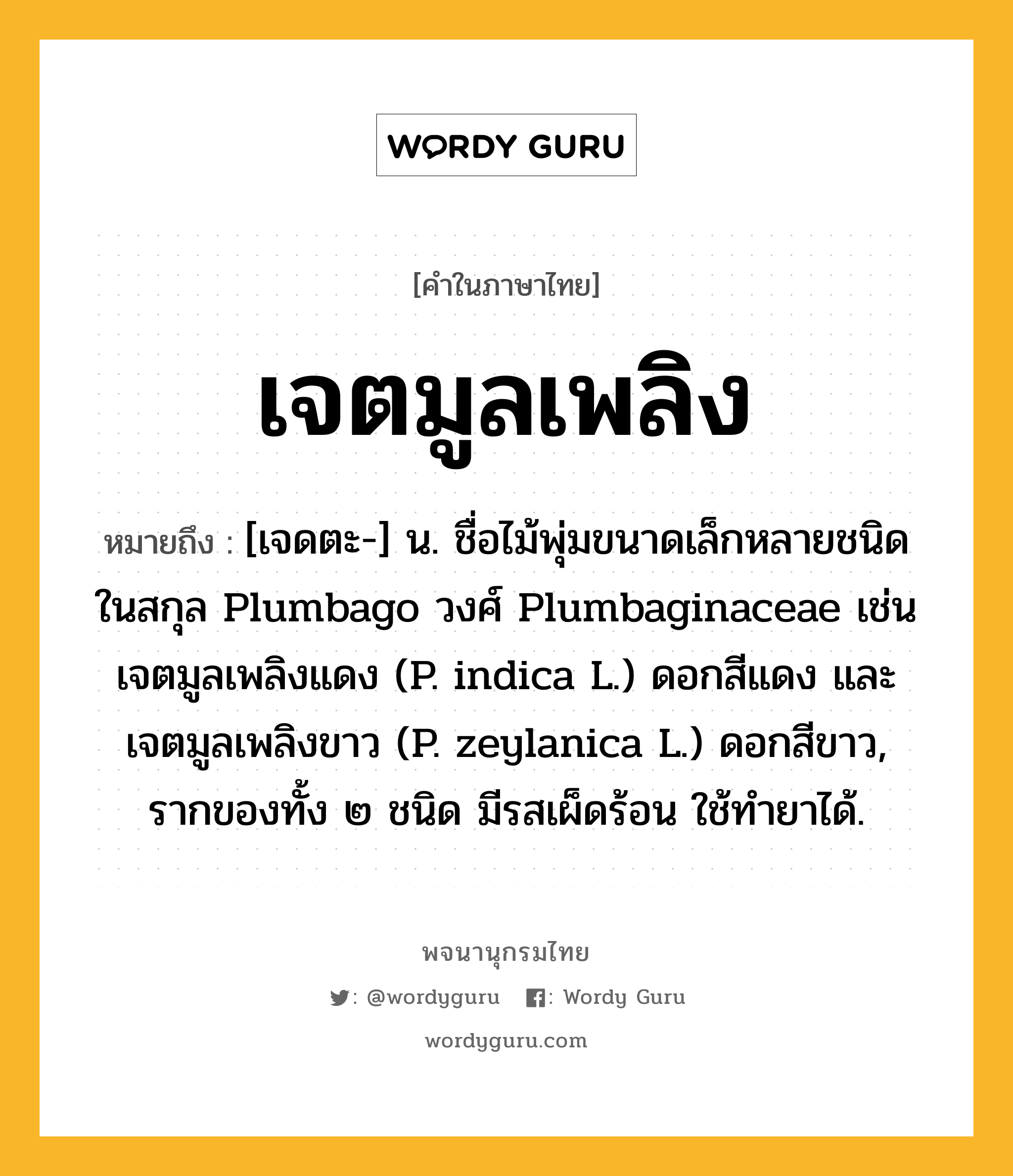 เจตมูลเพลิง ความหมาย หมายถึงอะไร?, คำในภาษาไทย เจตมูลเพลิง หมายถึง [เจดตะ-] น. ชื่อไม้พุ่มขนาดเล็กหลายชนิดในสกุล Plumbago วงศ์ Plumbaginaceae เช่น เจตมูลเพลิงแดง (P. indica L.) ดอกสีแดง และ เจตมูลเพลิงขาว (P. zeylanica L.) ดอกสีขาว, รากของทั้ง ๒ ชนิด มีรสเผ็ดร้อน ใช้ทํายาได้.