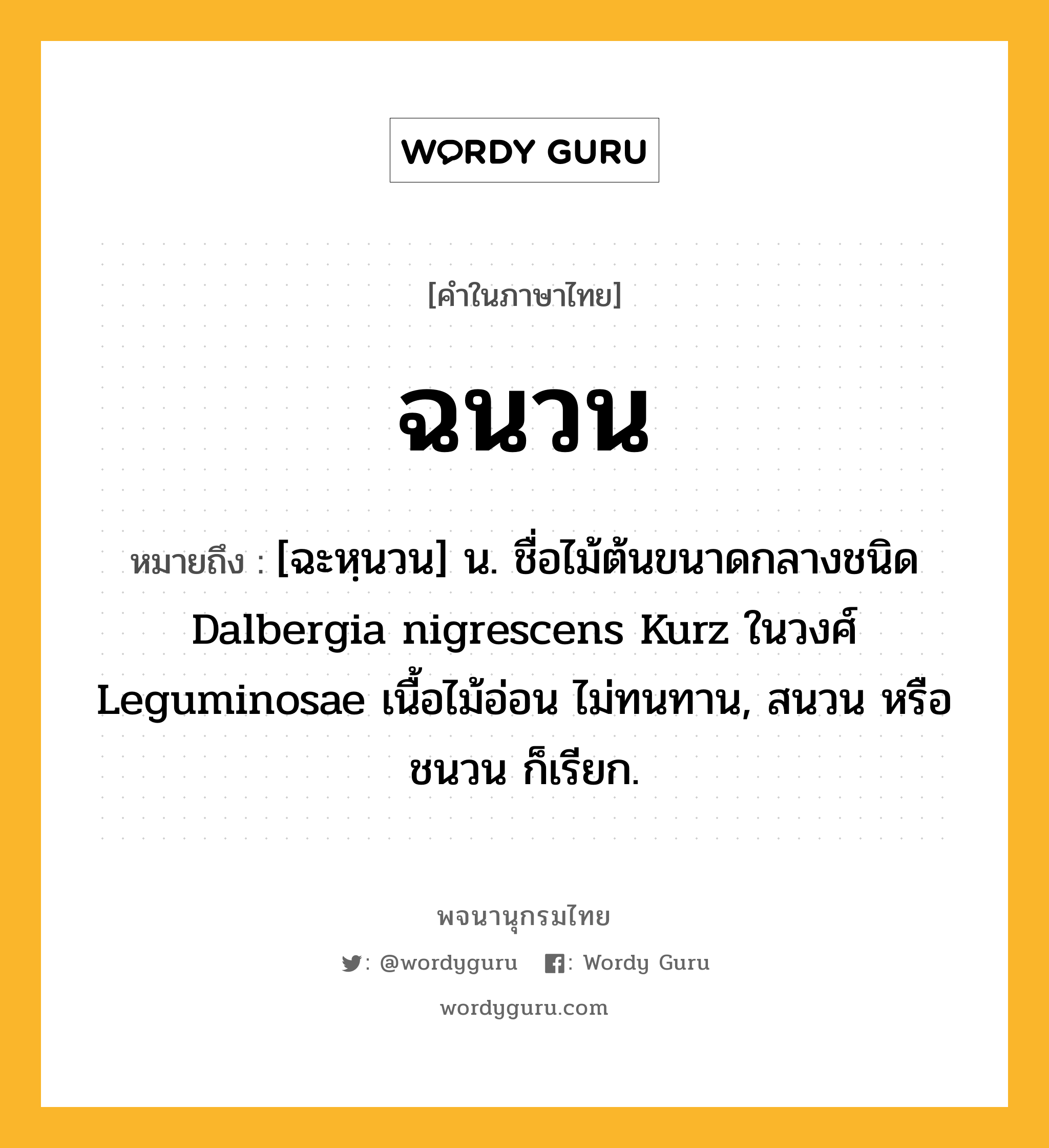 ฉนวน ความหมาย หมายถึงอะไร?, คำในภาษาไทย ฉนวน หมายถึง [ฉะหฺนวน] น. ชื่อไม้ต้นขนาดกลางชนิด Dalbergia nigrescens Kurz ในวงศ์ Leguminosae เนื้อไม้อ่อน ไม่ทนทาน, สนวน หรือ ชนวน ก็เรียก.