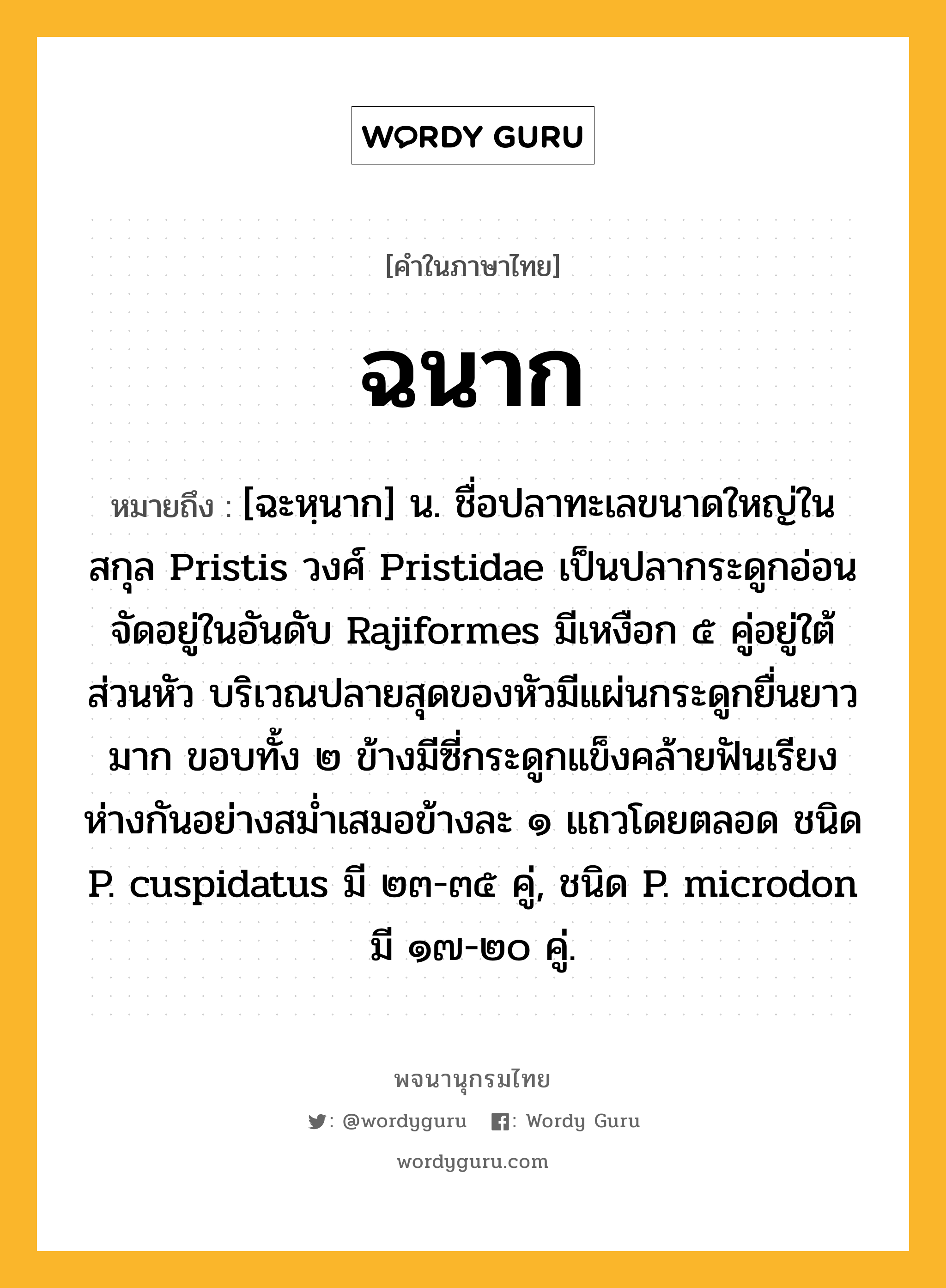 ฉนาก ความหมาย หมายถึงอะไร?, คำในภาษาไทย ฉนาก หมายถึง [ฉะหฺนาก] น. ชื่อปลาทะเลขนาดใหญ่ในสกุล Pristis วงศ์ Pristidae เป็นปลากระดูกอ่อน จัดอยู่ในอันดับ Rajiformes มีเหงือก ๕ คู่อยู่ใต้ส่วนหัว บริเวณปลายสุดของหัวมีแผ่นกระดูกยื่นยาวมาก ขอบทั้ง ๒ ข้างมีซี่กระดูกแข็งคล้ายฟันเรียงห่างกันอย่างสมํ่าเสมอข้างละ ๑ แถวโดยตลอด ชนิด P. cuspidatus มี ๒๓-๓๕ คู่, ชนิด P. microdon มี ๑๗-๒๐ คู่.