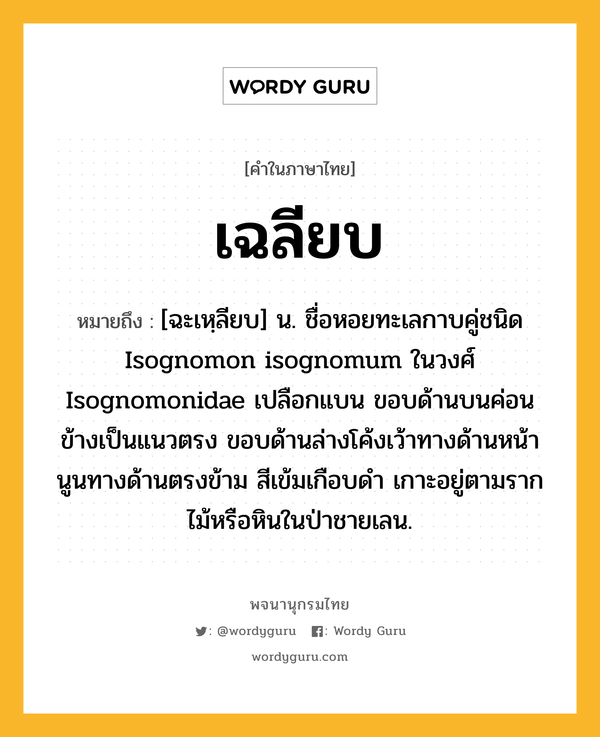 เฉลียบ ความหมาย หมายถึงอะไร?, คำในภาษาไทย เฉลียบ หมายถึง [ฉะเหฺลียบ] น. ชื่อหอยทะเลกาบคู่ชนิด Isognomon isognomum ในวงศ์ Isognomonidae เปลือกแบน ขอบด้านบนค่อนข้างเป็นแนวตรง ขอบด้านล่างโค้งเว้าทางด้านหน้า นูนทางด้านตรงข้าม สีเข้มเกือบดำ เกาะอยู่ตามรากไม้หรือหินในป่าชายเลน.