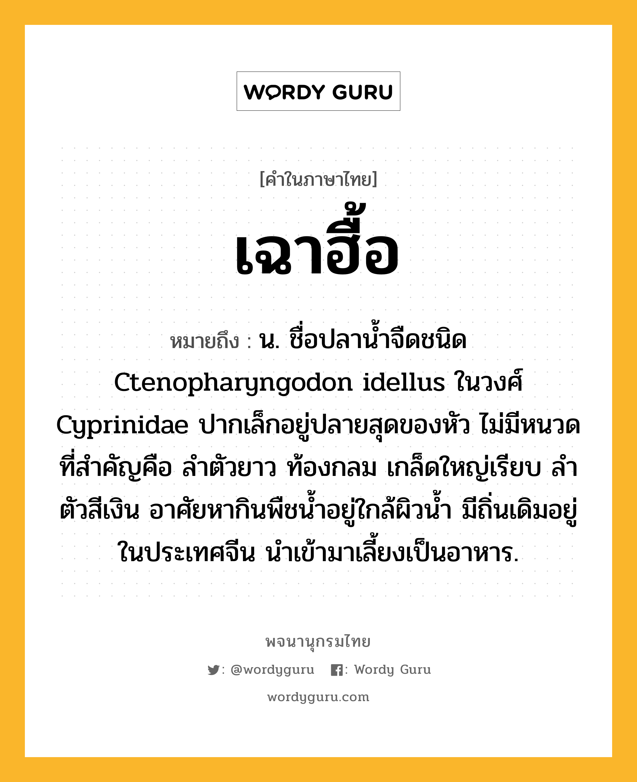 เฉาฮื้อ ความหมาย หมายถึงอะไร?, คำในภาษาไทย เฉาฮื้อ หมายถึง น. ชื่อปลานํ้าจืดชนิด Ctenopharyngodon idellus ในวงศ์ Cyprinidae ปากเล็กอยู่ปลายสุดของหัว ไม่มีหนวด ที่สําคัญคือ ลําตัวยาว ท้องกลม เกล็ดใหญ่เรียบ ลําตัวสีเงิน อาศัยหากินพืชนํ้าอยู่ใกล้ผิวนํ้า มีถิ่นเดิมอยู่ในประเทศจีน นําเข้ามาเลี้ยงเป็นอาหาร.