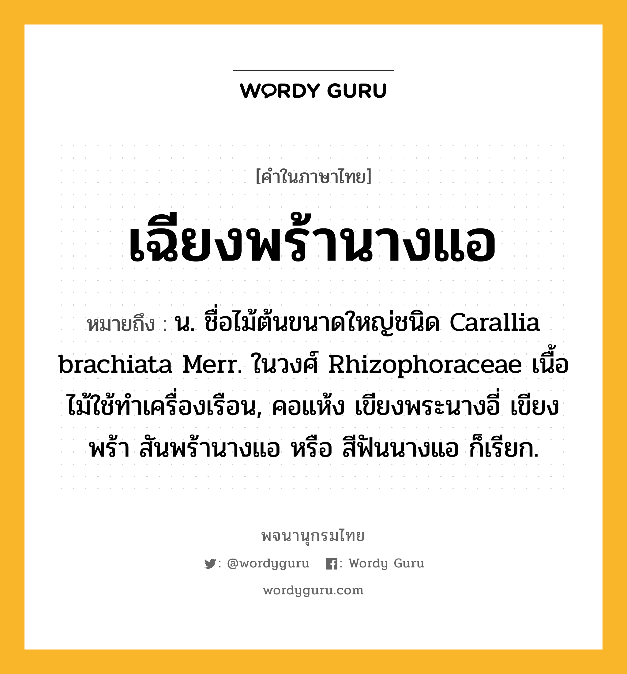 เฉียงพร้านางแอ ความหมาย หมายถึงอะไร?, คำในภาษาไทย เฉียงพร้านางแอ หมายถึง น. ชื่อไม้ต้นขนาดใหญ่ชนิด Carallia brachiata Merr. ในวงศ์ Rhizophoraceae เนื้อไม้ใช้ทําเครื่องเรือน, คอแห้ง เขียงพระนางอี่ เขียงพร้า สันพร้านางแอ หรือ สีฟันนางแอ ก็เรียก.