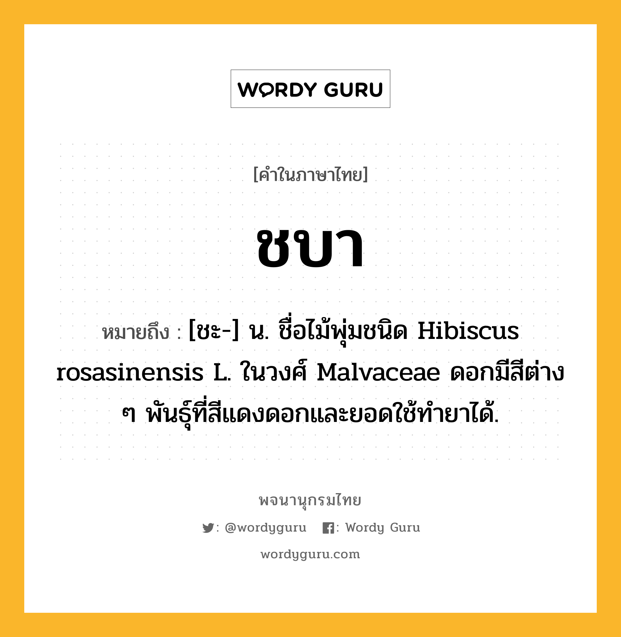 ชบา ความหมาย หมายถึงอะไร?, คำในภาษาไทย ชบา หมายถึง [ชะ-] น. ชื่อไม้พุ่มชนิด Hibiscus rosasinensis L. ในวงศ์ Malvaceae ดอกมีสีต่าง ๆ พันธุ์ที่สีแดงดอกและยอดใช้ทํายาได้.