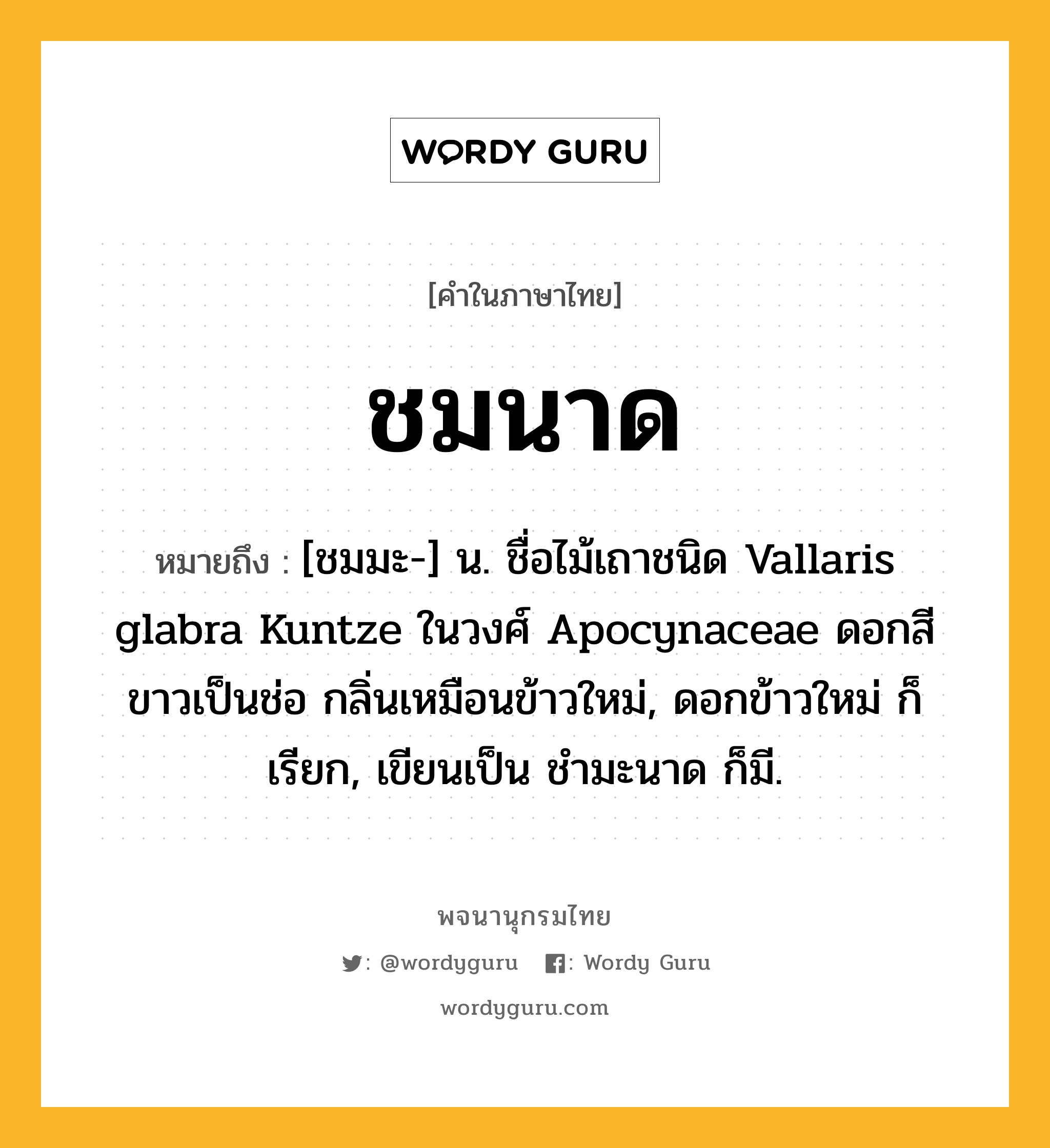 ชมนาด ความหมาย หมายถึงอะไร?, คำในภาษาไทย ชมนาด หมายถึง [ชมมะ-] น. ชื่อไม้เถาชนิด Vallaris glabra Kuntze ในวงศ์ Apocynaceae ดอกสีขาวเป็นช่อ กลิ่นเหมือนข้าวใหม่, ดอกข้าวใหม่ ก็เรียก, เขียนเป็น ชํามะนาด ก็มี.