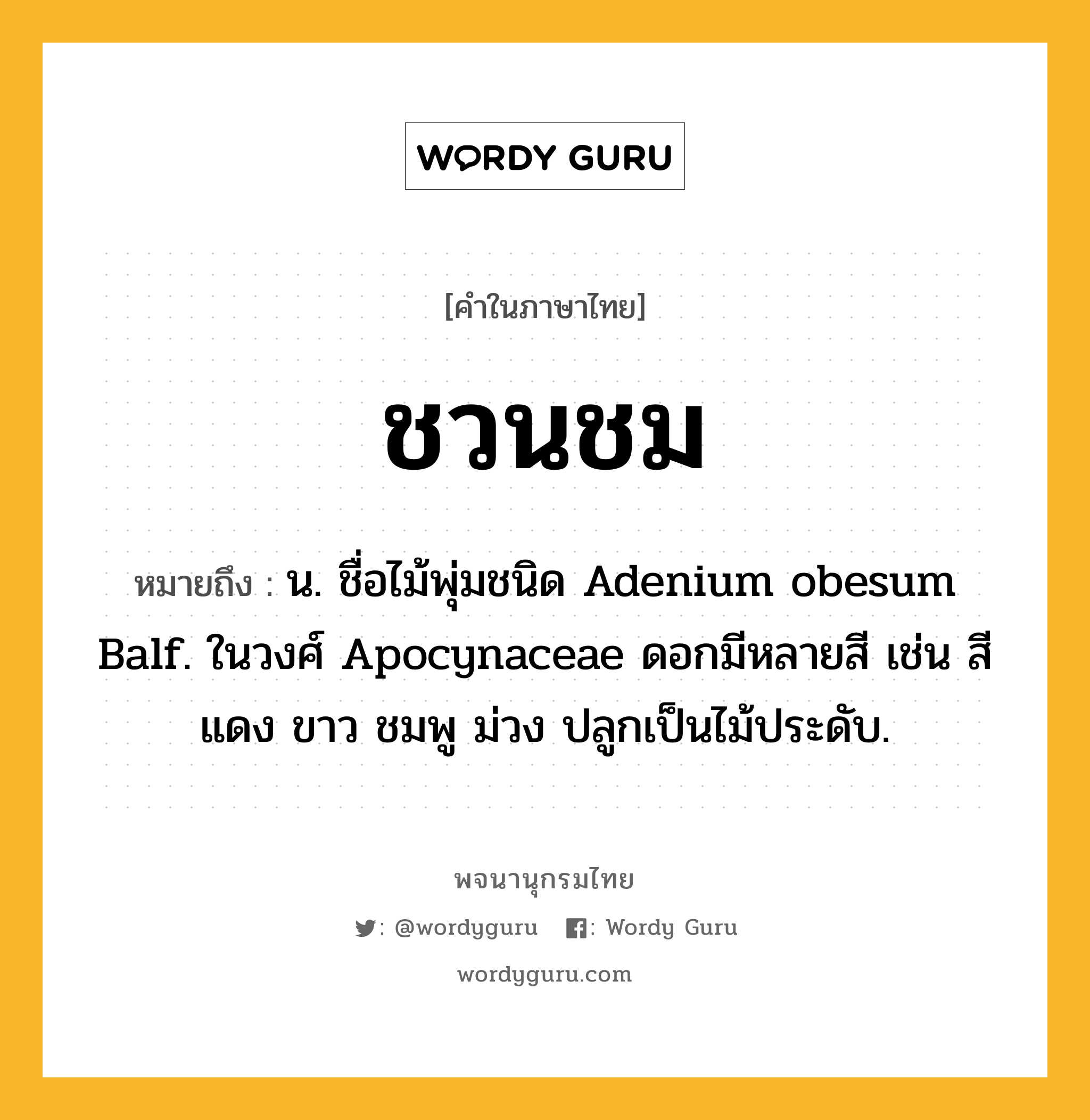 ชวนชม ความหมาย หมายถึงอะไร?, คำในภาษาไทย ชวนชม หมายถึง น. ชื่อไม้พุ่มชนิด Adenium obesum Balf. ในวงศ์ Apocynaceae ดอกมีหลายสี เช่น สีแดง ขาว ชมพู ม่วง ปลูกเป็นไม้ประดับ.