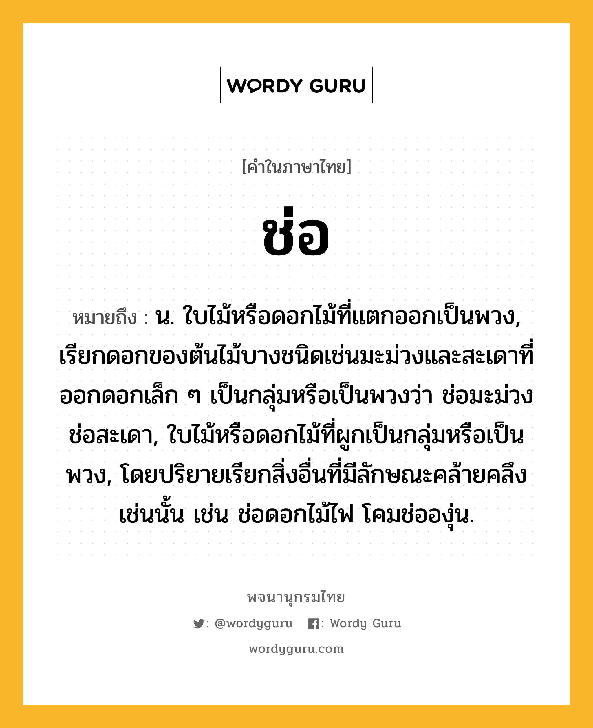 ช่อ ความหมาย หมายถึงอะไร?, คำในภาษาไทย ช่อ หมายถึง น. ใบไม้หรือดอกไม้ที่แตกออกเป็นพวง, เรียกดอกของต้นไม้บางชนิดเช่นมะม่วงและสะเดาที่ออกดอกเล็ก ๆ เป็นกลุ่มหรือเป็นพวงว่า ช่อมะม่วง ช่อสะเดา, ใบไม้หรือดอกไม้ที่ผูกเป็นกลุ่มหรือเป็นพวง, โดยปริยายเรียกสิ่งอื่นที่มีลักษณะคล้ายคลึงเช่นนั้น เช่น ช่อดอกไม้ไฟ โคมช่อองุ่น.