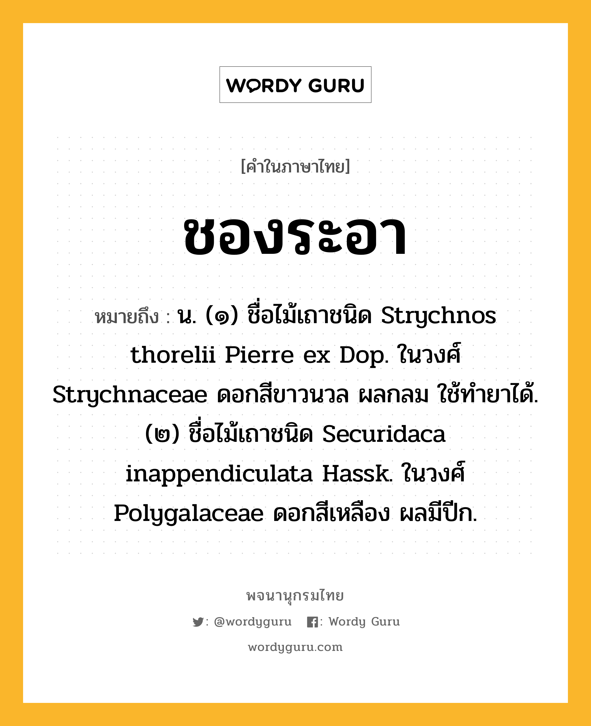 ชองระอา ความหมาย หมายถึงอะไร?, คำในภาษาไทย ชองระอา หมายถึง น. (๑) ชื่อไม้เถาชนิด Strychnos thorelii Pierre ex Dop. ในวงศ์ Strychnaceae ดอกสีขาวนวล ผลกลม ใช้ทํายาได้. (๒) ชื่อไม้เถาชนิด Securidaca inappendiculata Hassk. ในวงศ์ Polygalaceae ดอกสีเหลือง ผลมีปีก.