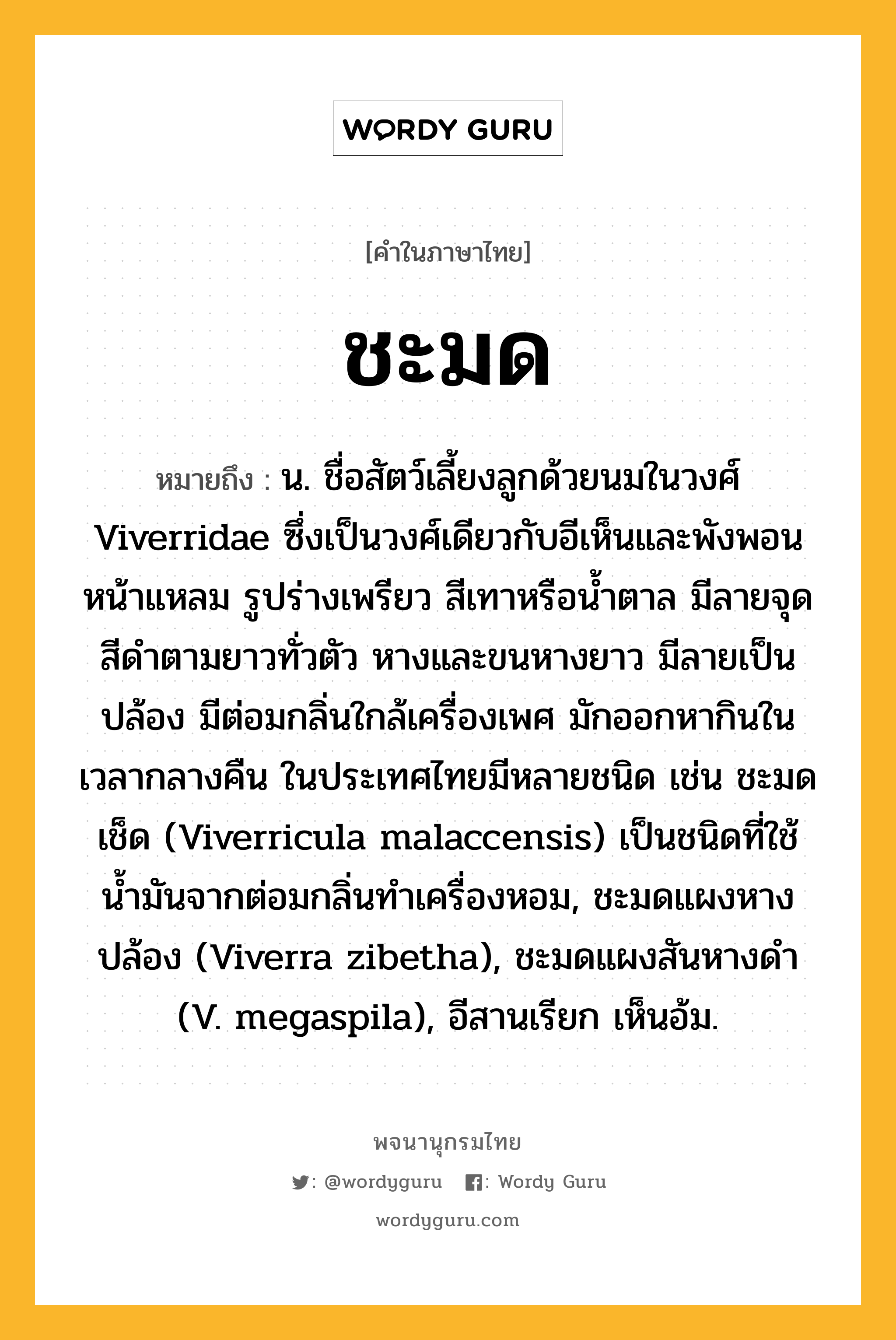 ชะมด ความหมาย หมายถึงอะไร?, คำในภาษาไทย ชะมด หมายถึง น. ชื่อสัตว์เลี้ยงลูกด้วยนมในวงศ์ Viverridae ซึ่งเป็นวงศ์เดียวกับอีเห็นและพังพอน หน้าแหลม รูปร่างเพรียว สีเทาหรือนํ้าตาล มีลายจุดสีดําตามยาวทั่วตัว หางและขนหางยาว มีลายเป็นปล้อง มีต่อมกลิ่นใกล้เครื่องเพศ มักออกหากินในเวลากลางคืน ในประเทศไทยมีหลายชนิด เช่น ชะมดเช็ด (Viverricula malaccensis) เป็นชนิดที่ใช้นํ้ามันจากต่อมกลิ่นทําเครื่องหอม, ชะมดแผงหางปล้อง (Viverra zibetha), ชะมดแผงสันหางดํา (V. megaspila), อีสานเรียก เห็นอ้ม.