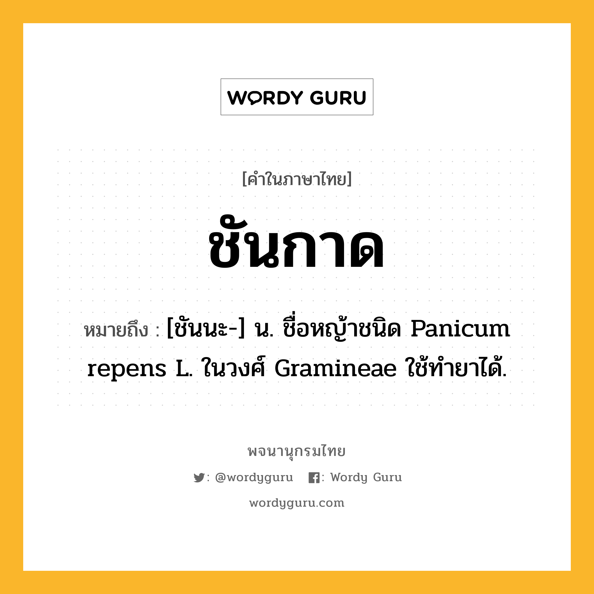 ชันกาด ความหมาย หมายถึงอะไร?, คำในภาษาไทย ชันกาด หมายถึง [ชันนะ-] น. ชื่อหญ้าชนิด Panicum repens L. ในวงศ์ Gramineae ใช้ทํายาได้.