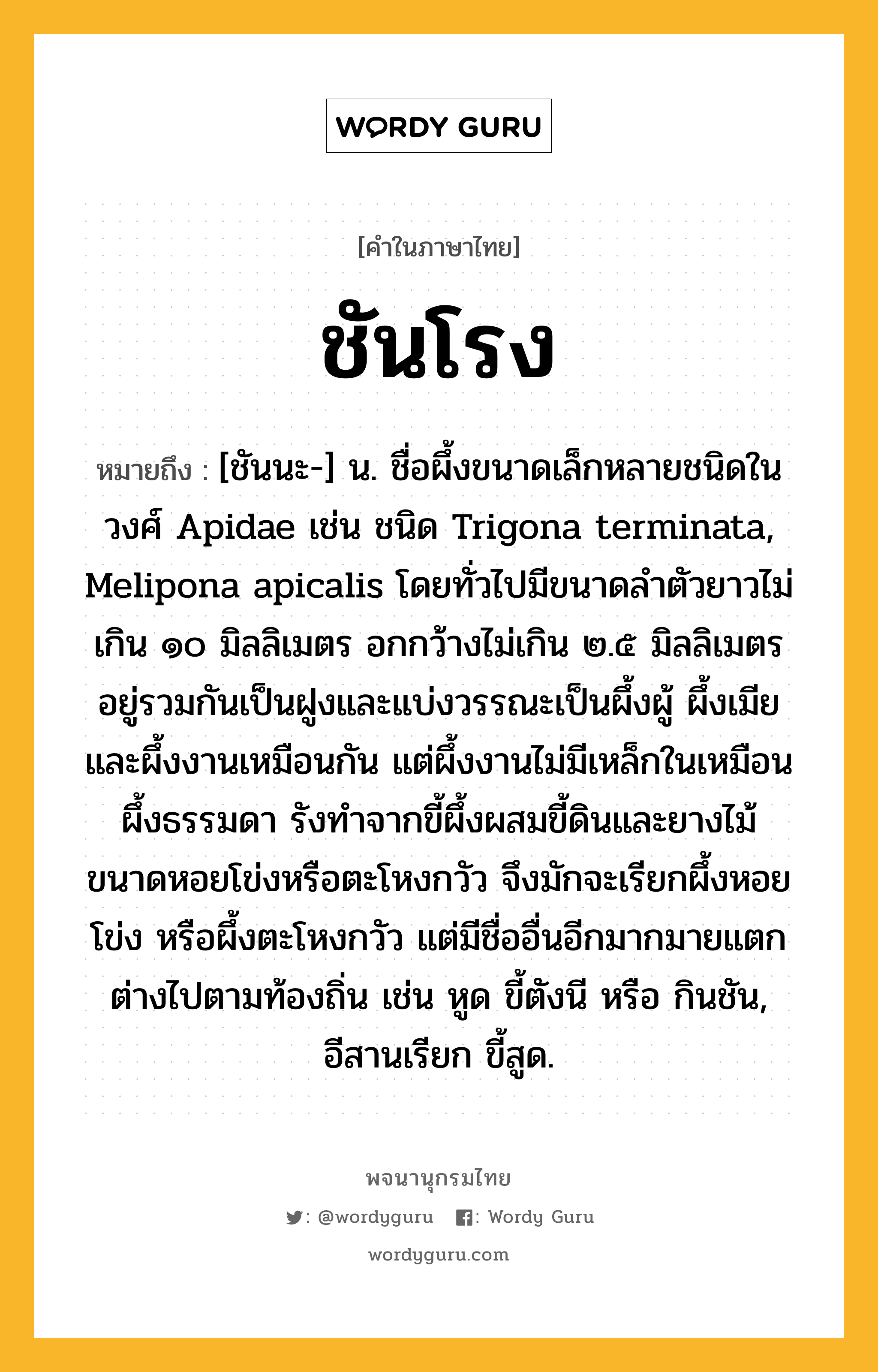 ชันโรง ความหมาย หมายถึงอะไร?, คำในภาษาไทย ชันโรง หมายถึง [ชันนะ-] น. ชื่อผึ้งขนาดเล็กหลายชนิดในวงศ์ Apidae เช่น ชนิด Trigona terminata, Melipona apicalis โดยทั่วไปมีขนาดลําตัวยาวไม่เกิน ๑๐ มิลลิเมตร อกกว้างไม่เกิน ๒.๕ มิลลิเมตร อยู่รวมกันเป็นฝูงและแบ่งวรรณะเป็นผึ้งผู้ ผึ้งเมีย และผึ้งงานเหมือนกัน แต่ผึ้งงานไม่มีเหล็กในเหมือนผึ้งธรรมดา รังทําจากขี้ผึ้งผสมขี้ดินและยางไม้ ขนาดหอยโข่งหรือตะโหงกวัว จึงมักจะเรียกผึ้งหอยโข่ง หรือผึ้งตะโหงกวัว แต่มีชื่ออื่นอีกมากมายแตกต่างไปตามท้องถิ่น เช่น หูด ขี้ตังนี หรือ กินชัน, อีสานเรียก ขี้สูด.