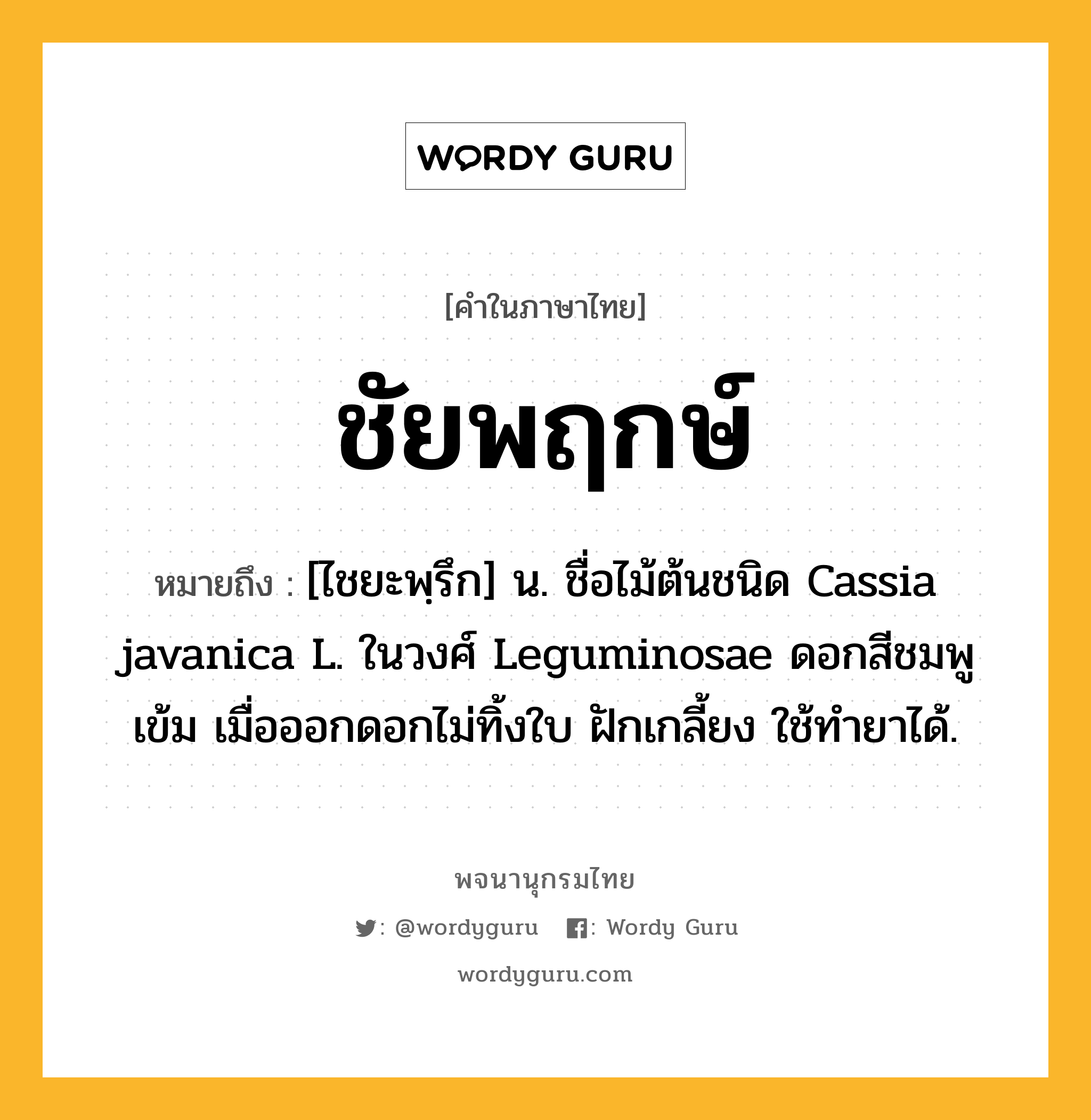 ชัยพฤกษ์ ความหมาย หมายถึงอะไร?, คำในภาษาไทย ชัยพฤกษ์ หมายถึง [ไชยะพฺรึก] น. ชื่อไม้ต้นชนิด Cassia javanica L. ในวงศ์ Leguminosae ดอกสีชมพูเข้ม เมื่อออกดอกไม่ทิ้งใบ ฝักเกลี้ยง ใช้ทํายาได้.