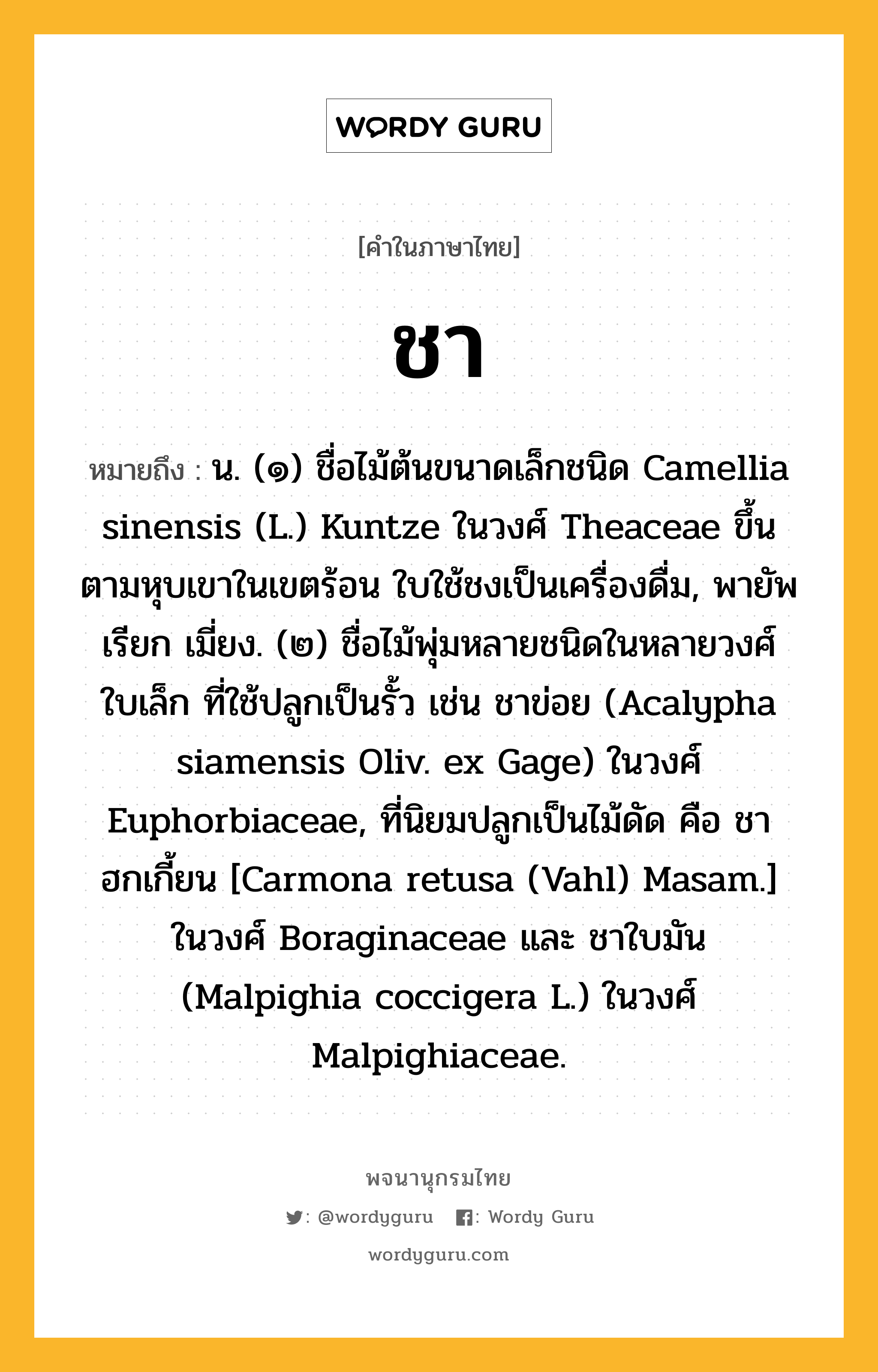 ชา ความหมาย หมายถึงอะไร?, คำในภาษาไทย ชา หมายถึง น. (๑) ชื่อไม้ต้นขนาดเล็กชนิด Camellia sinensis (L.) Kuntze ในวงศ์ Theaceae ขึ้นตามหุบเขาในเขตร้อน ใบใช้ชงเป็นเครื่องดื่ม, พายัพเรียก เมี่ยง. (๒) ชื่อไม้พุ่มหลายชนิดในหลายวงศ์ ใบเล็ก ที่ใช้ปลูกเป็นรั้ว เช่น ชาข่อย (Acalypha siamensis Oliv. ex Gage) ในวงศ์ Euphorbiaceae, ที่นิยมปลูกเป็นไม้ดัด คือ ชาฮกเกี้ยน [Carmona retusa (Vahl) Masam.] ในวงศ์ Boraginaceae และ ชาใบมัน (Malpighia coccigera L.) ในวงศ์ Malpighiaceae.