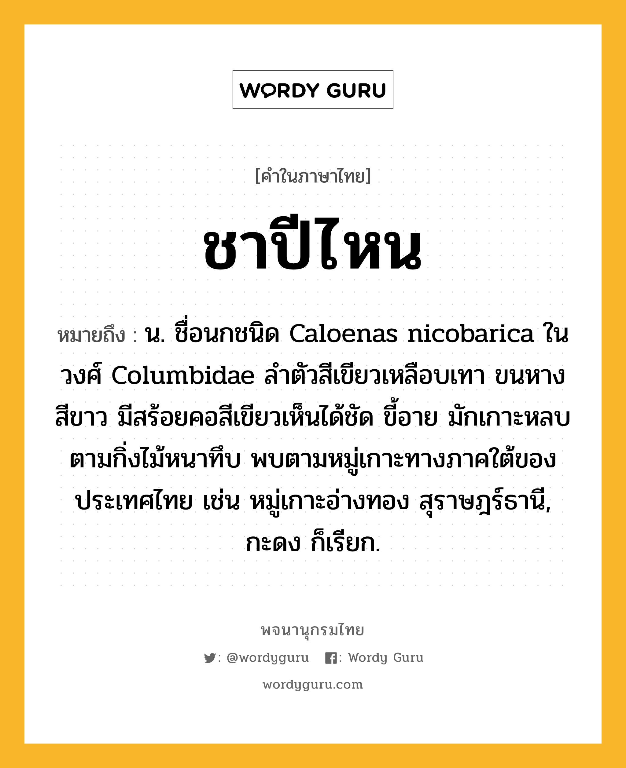 ชาปีไหน ความหมาย หมายถึงอะไร?, คำในภาษาไทย ชาปีไหน หมายถึง น. ชื่อนกชนิด Caloenas nicobarica ในวงศ์ Columbidae ลําตัวสีเขียวเหลือบเทา ขนหางสีขาว มีสร้อยคอสีเขียวเห็นได้ชัด ขี้อาย มักเกาะหลบตามกิ่งไม้หนาทึบ พบตามหมู่เกาะทางภาคใต้ของประเทศไทย เช่น หมู่เกาะอ่างทอง สุราษฎร์ธานี, กะดง ก็เรียก.