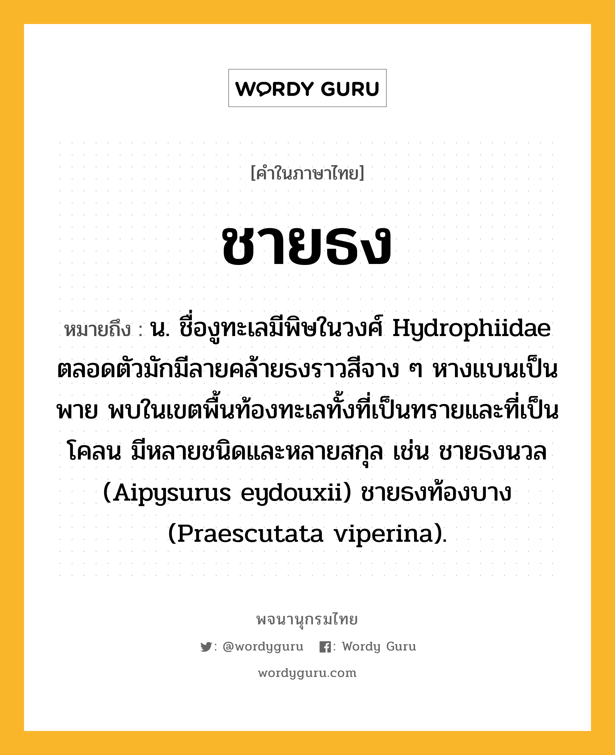 ชายธง ความหมาย หมายถึงอะไร?, คำในภาษาไทย ชายธง หมายถึง น. ชื่องูทะเลมีพิษในวงศ์ Hydrophiidae ตลอดตัวมักมีลายคล้ายธงราวสีจาง ๆ หางแบนเป็นพาย พบในเขตพื้นท้องทะเลทั้งที่เป็นทรายและที่เป็นโคลน มีหลายชนิดและหลายสกุล เช่น ชายธงนวล (Aipysurus eydouxii) ชายธงท้องบาง (Praescutata viperina).