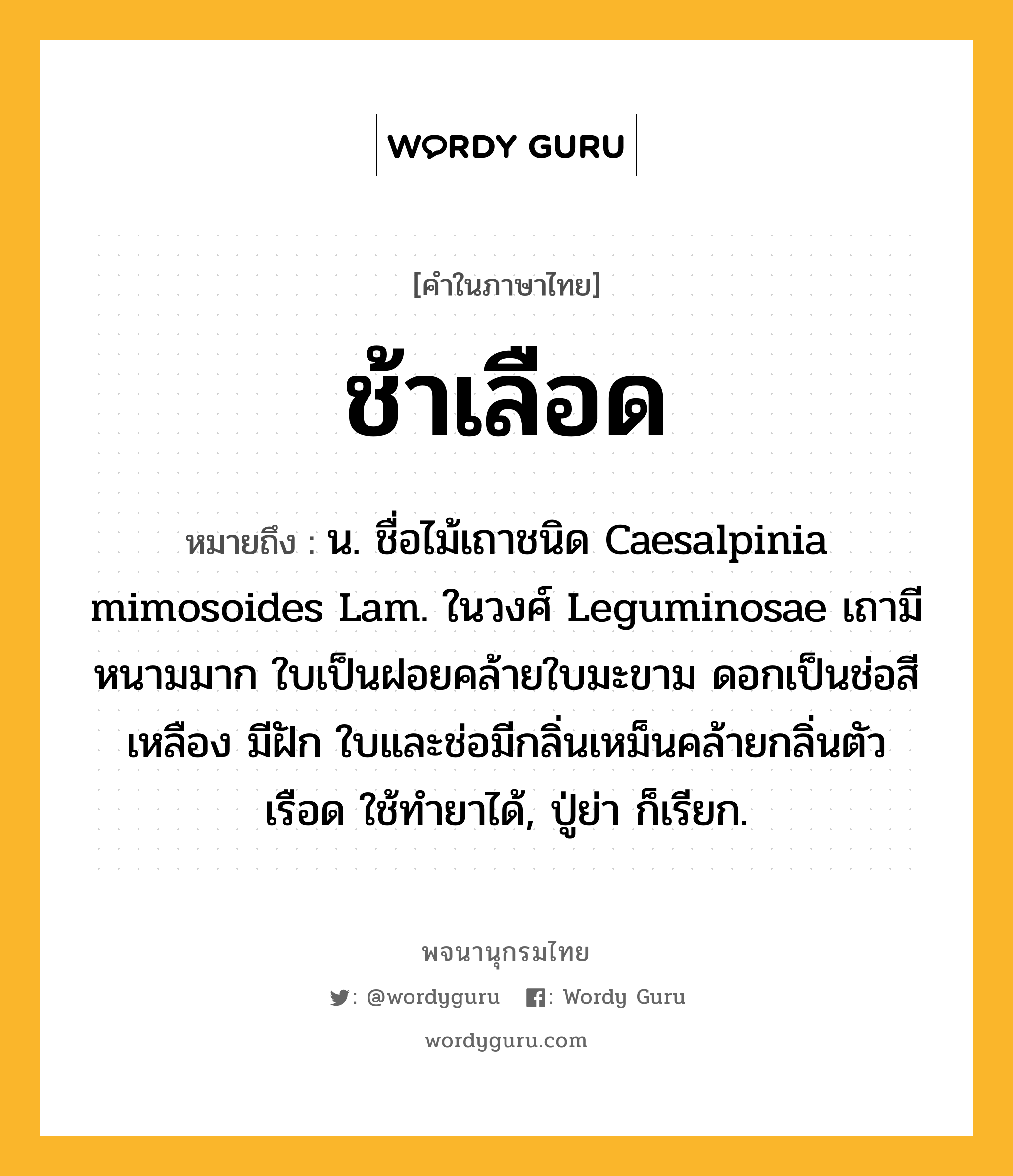 ช้าเลือด ความหมาย หมายถึงอะไร?, คำในภาษาไทย ช้าเลือด หมายถึง น. ชื่อไม้เถาชนิด Caesalpinia mimosoides Lam. ในวงศ์ Leguminosae เถามีหนามมาก ใบเป็นฝอยคล้ายใบมะขาม ดอกเป็นช่อสีเหลือง มีฝัก ใบและช่อมีกลิ่นเหม็นคล้ายกลิ่นตัวเรือด ใช้ทํายาได้, ปู่ย่า ก็เรียก.