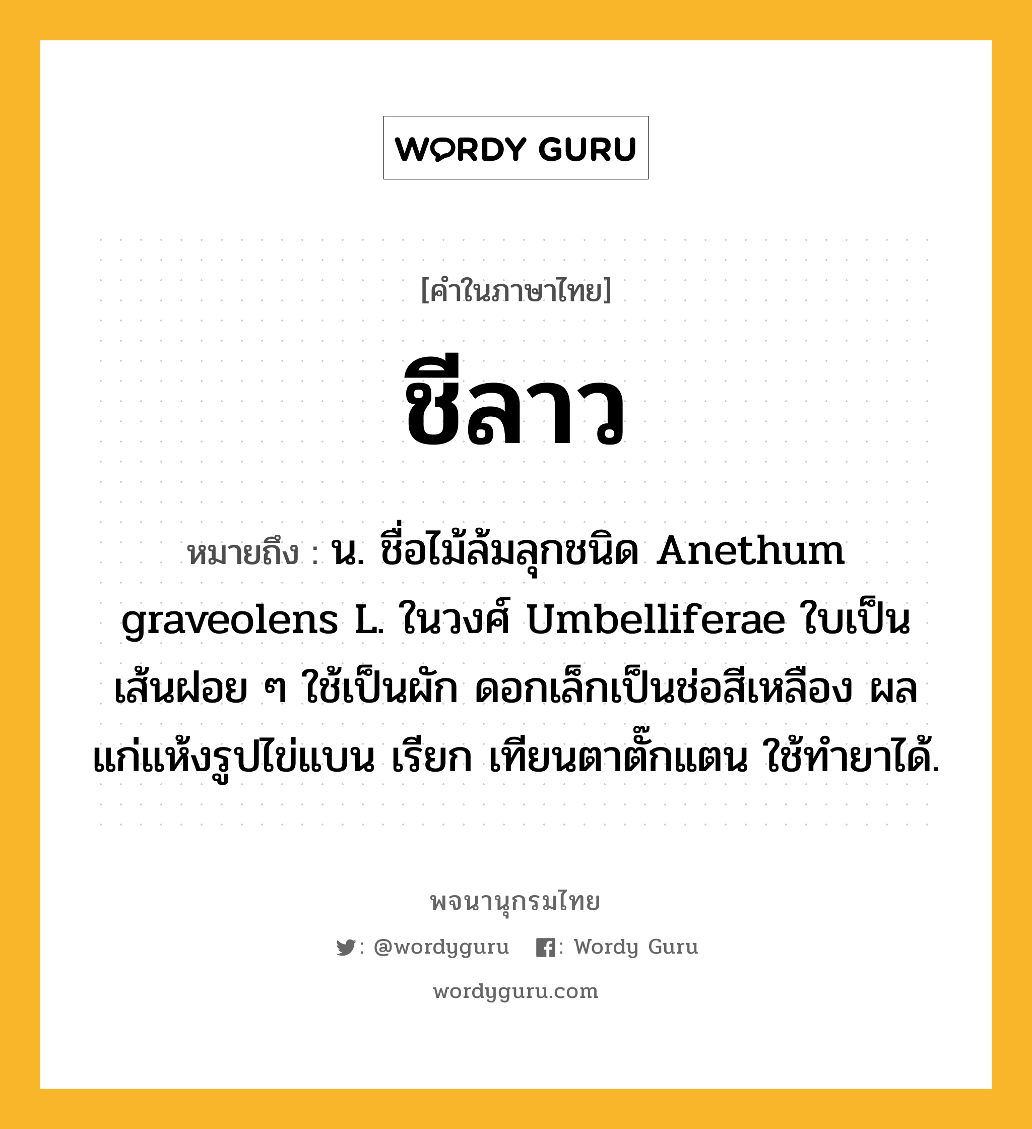 ชีลาว ความหมาย หมายถึงอะไร?, คำในภาษาไทย ชีลาว หมายถึง น. ชื่อไม้ล้มลุกชนิด Anethum graveolens L. ในวงศ์ Umbelliferae ใบเป็นเส้นฝอย ๆ ใช้เป็นผัก ดอกเล็กเป็นช่อสีเหลือง ผลแก่แห้งรูปไข่แบน เรียก เทียนตาตั๊กแตน ใช้ทํายาได้.