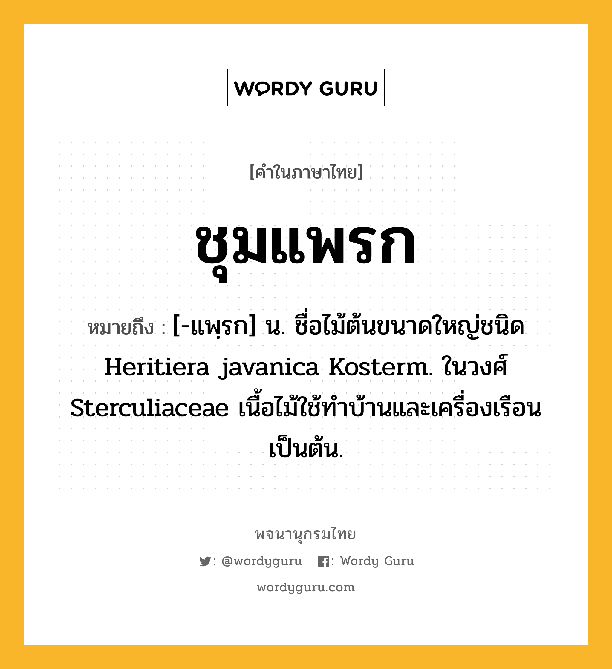 ชุมแพรก ความหมาย หมายถึงอะไร?, คำในภาษาไทย ชุมแพรก หมายถึง [-แพฺรก] น. ชื่อไม้ต้นขนาดใหญ่ชนิด Heritiera javanica Kosterm. ในวงศ์ Sterculiaceae เนื้อไม้ใช้ทําบ้านและเครื่องเรือนเป็นต้น.