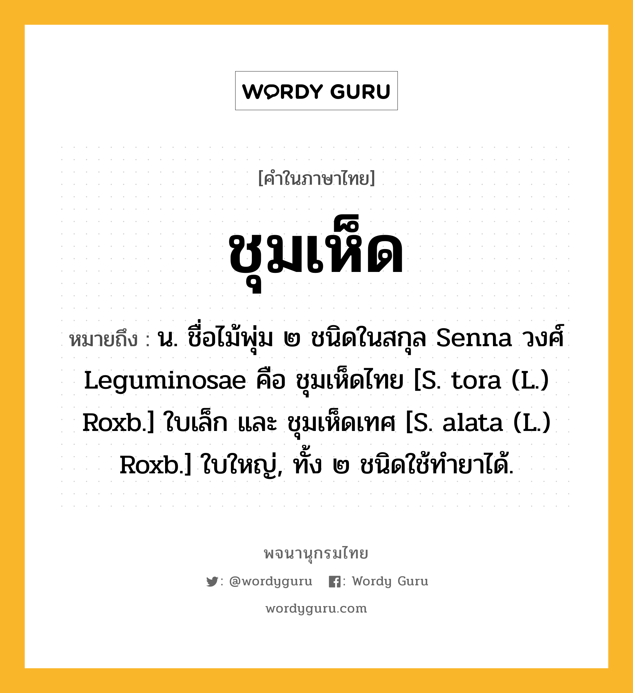 ชุมเห็ด ความหมาย หมายถึงอะไร?, คำในภาษาไทย ชุมเห็ด หมายถึง น. ชื่อไม้พุ่ม ๒ ชนิดในสกุล Senna วงศ์ Leguminosae คือ ชุมเห็ดไทย [S. tora (L.) Roxb.] ใบเล็ก และ ชุมเห็ดเทศ [S. alata (L.) Roxb.] ใบใหญ่, ทั้ง ๒ ชนิดใช้ทํายาได้.