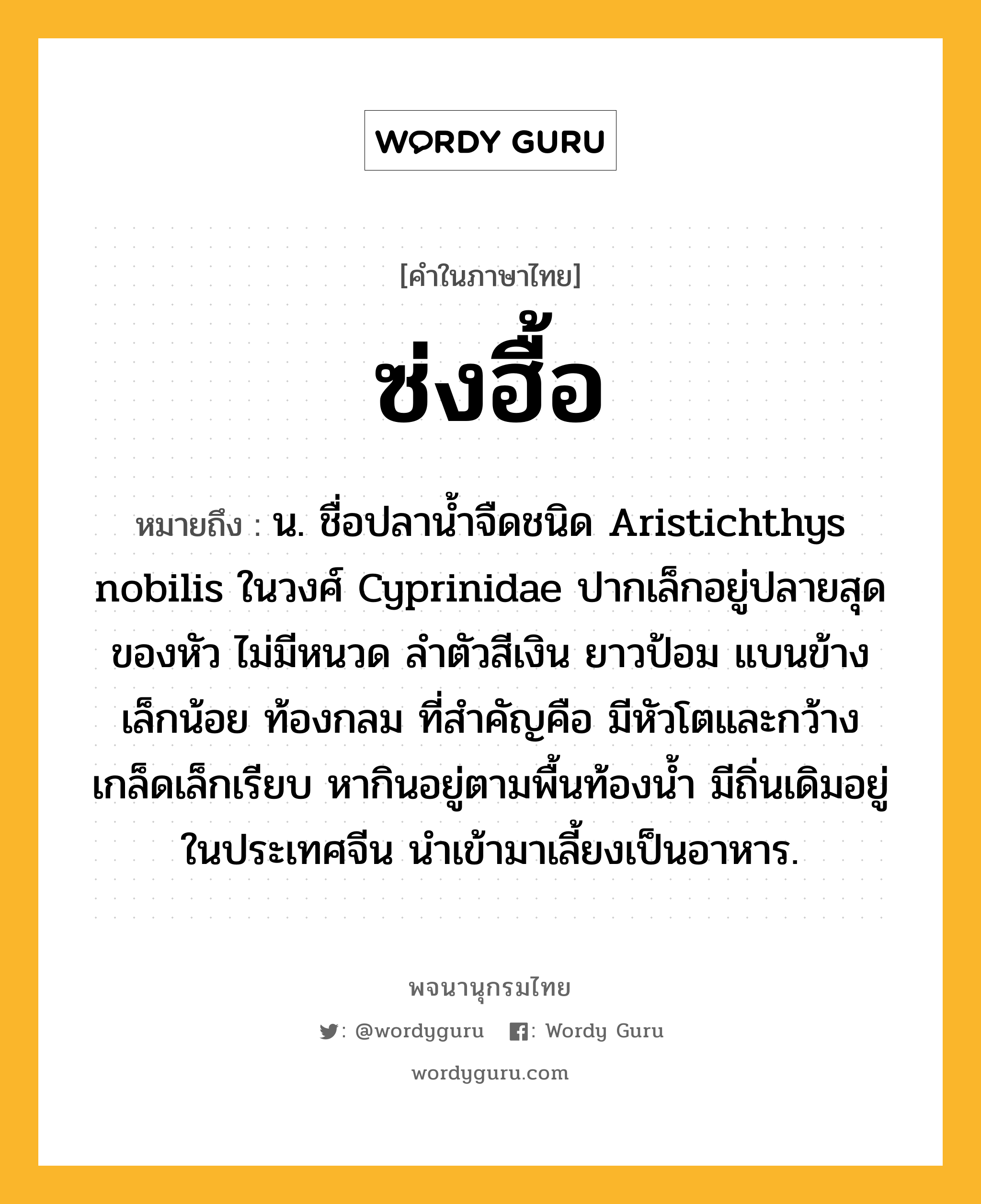 ซ่งฮื้อ ความหมาย หมายถึงอะไร?, คำในภาษาไทย ซ่งฮื้อ หมายถึง น. ชื่อปลานํ้าจืดชนิด Aristichthys nobilis ในวงศ์ Cyprinidae ปากเล็กอยู่ปลายสุดของหัว ไม่มีหนวด ลําตัวสีเงิน ยาวป้อม แบนข้างเล็กน้อย ท้องกลม ที่สําคัญคือ มีหัวโตและกว้าง เกล็ดเล็กเรียบ หากินอยู่ตามพื้นท้องนํ้า มีถิ่นเดิมอยู่ในประเทศจีน นําเข้ามาเลี้ยงเป็นอาหาร.