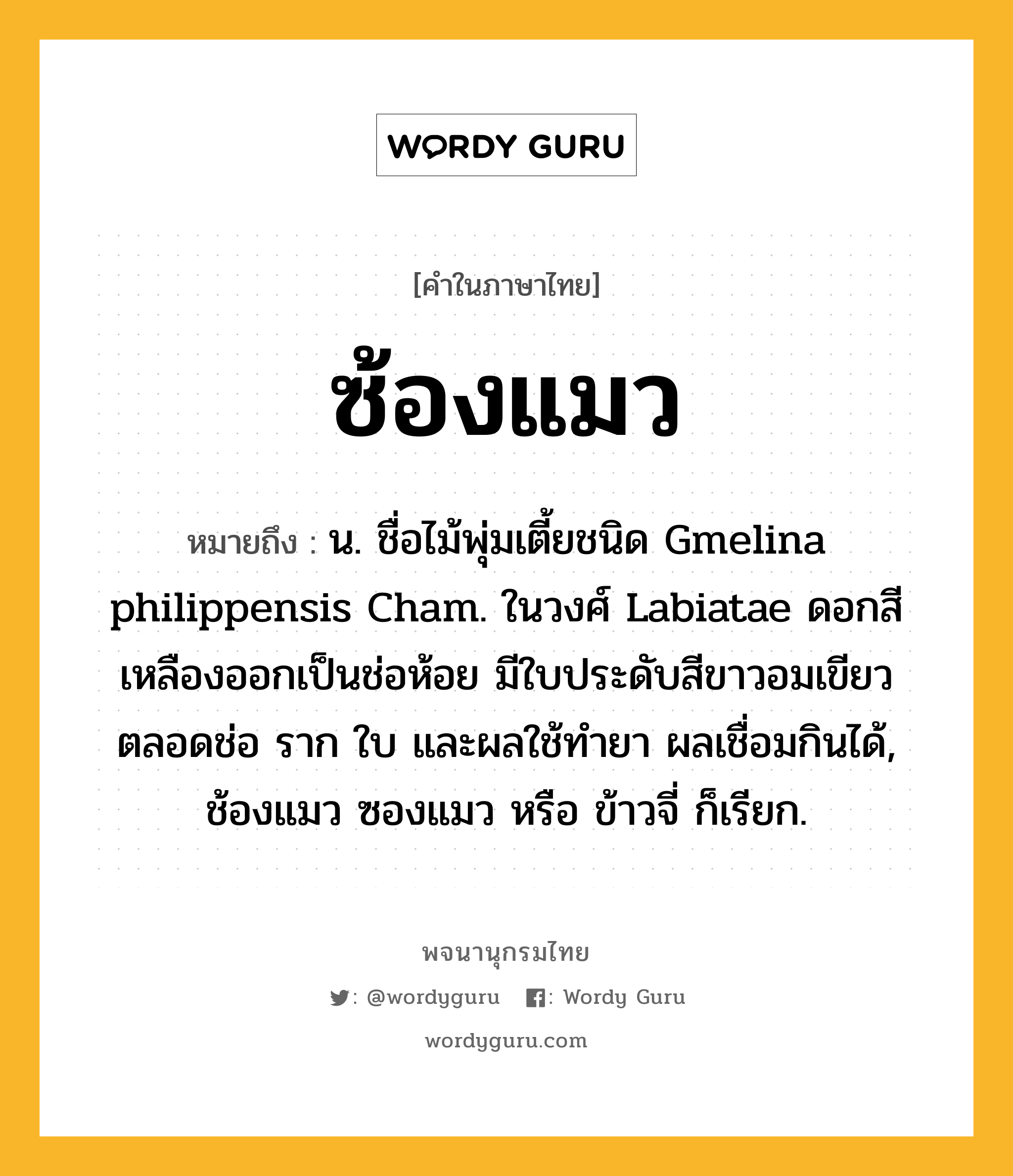 ซ้องแมว ความหมาย หมายถึงอะไร?, คำในภาษาไทย ซ้องแมว หมายถึง น. ชื่อไม้พุ่มเตี้ยชนิด Gmelina philippensis Cham. ในวงศ์ Labiatae ดอกสีเหลืองออกเป็นช่อห้อย มีใบประดับสีขาวอมเขียวตลอดช่อ ราก ใบ และผลใช้ทํายา ผลเชื่อมกินได้, ช้องแมว ซองแมว หรือ ข้าวจี่ ก็เรียก.