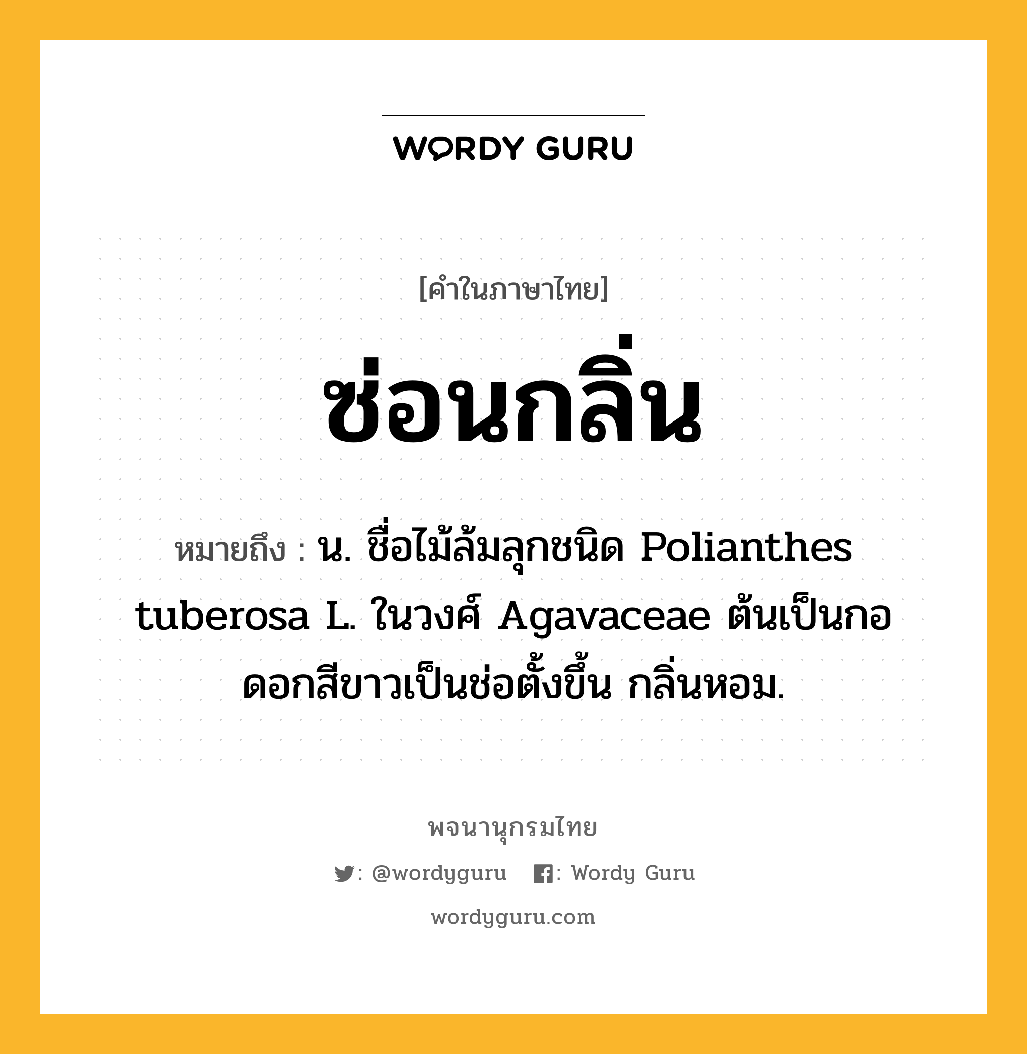 ซ่อนกลิ่น ความหมาย หมายถึงอะไร?, คำในภาษาไทย ซ่อนกลิ่น หมายถึง น. ชื่อไม้ล้มลุกชนิด Polianthes tuberosa L. ในวงศ์ Agavaceae ต้นเป็นกอ ดอกสีขาวเป็นช่อตั้งขึ้น กลิ่นหอม.