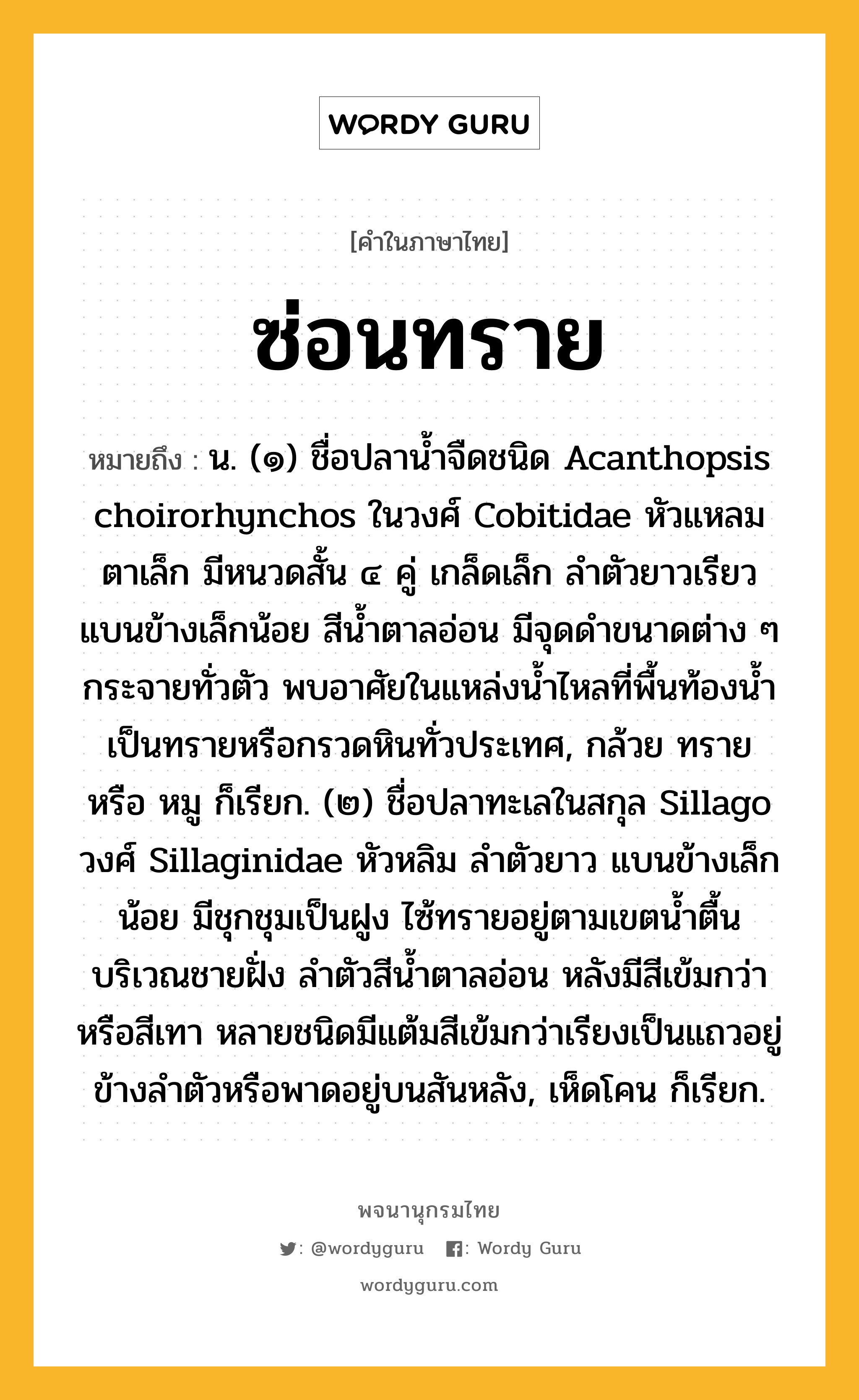 ซ่อนทราย ความหมาย หมายถึงอะไร?, คำในภาษาไทย ซ่อนทราย หมายถึง น. (๑) ชื่อปลานํ้าจืดชนิด Acanthopsis choirorhynchos ในวงศ์ Cobitidae หัวแหลม ตาเล็ก มีหนวดสั้น ๔ คู่ เกล็ดเล็ก ลําตัวยาวเรียว แบนข้างเล็กน้อย สีนํ้าตาลอ่อน มีจุดดําขนาดต่าง ๆ กระจายทั่วตัว พบอาศัยในแหล่งนํ้าไหลที่พื้นท้องนํ้าเป็นทรายหรือกรวดหินทั่วประเทศ, กล้วย ทราย หรือ หมู ก็เรียก. (๒) ชื่อปลาทะเลในสกุล Sillago วงศ์ Sillaginidae หัวหลิม ลําตัวยาว แบนข้างเล็กน้อย มีชุกชุมเป็นฝูง ไซ้ทรายอยู่ตามเขตนํ้าตื้นบริเวณชายฝั่ง ลําตัวสีนํ้าตาลอ่อน หลังมีสีเข้มกว่าหรือสีเทา หลายชนิดมีแต้มสีเข้มกว่าเรียงเป็นแถวอยู่ข้างลําตัวหรือพาดอยู่บนสันหลัง, เห็ดโคน ก็เรียก.