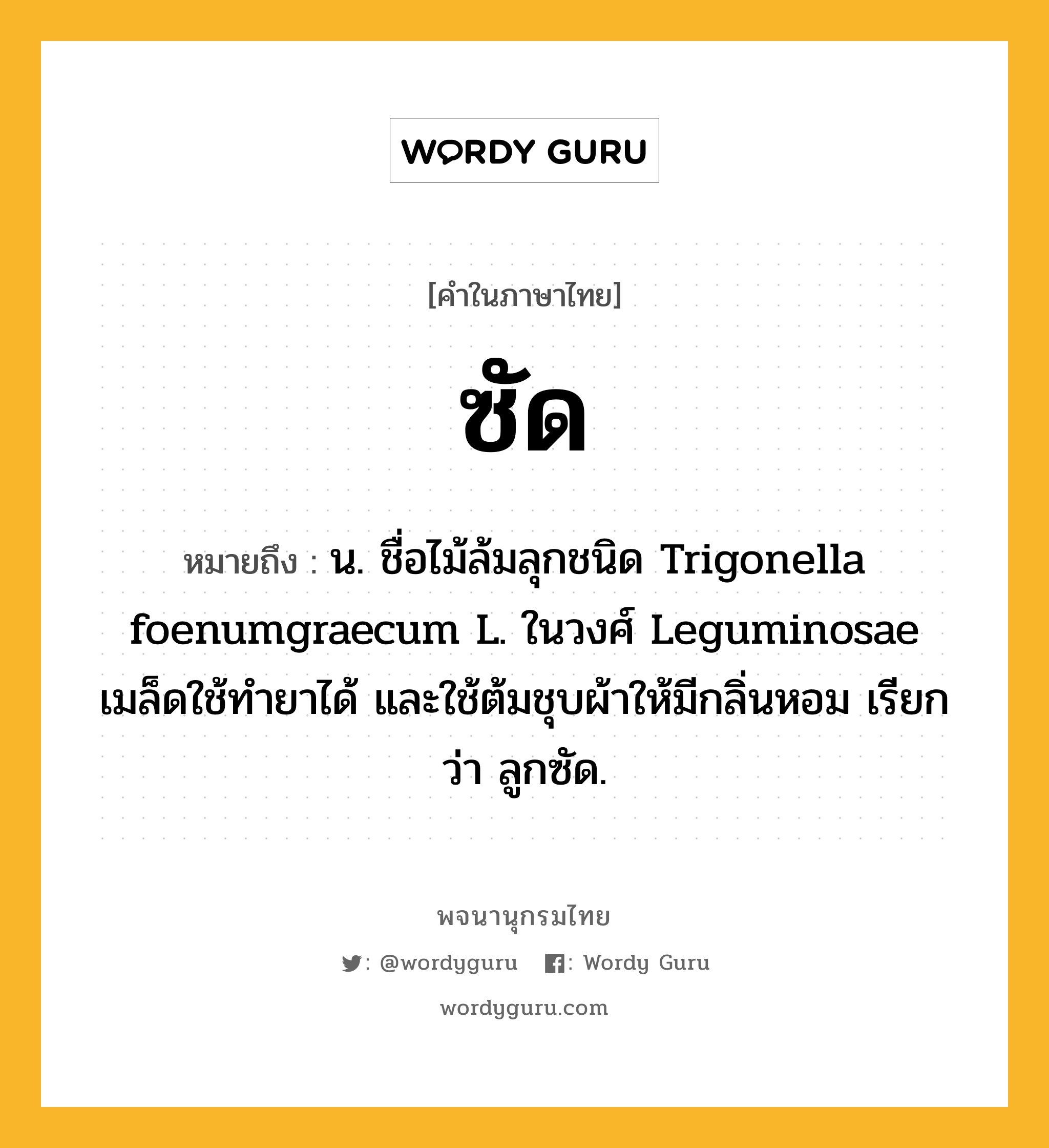 ซัด ความหมาย หมายถึงอะไร?, คำในภาษาไทย ซัด หมายถึง น. ชื่อไม้ล้มลุกชนิด Trigonella foenumgraecum L. ในวงศ์ Leguminosae เมล็ดใช้ทํายาได้ และใช้ต้มชุบผ้าให้มีกลิ่นหอม เรียกว่า ลูกซัด.