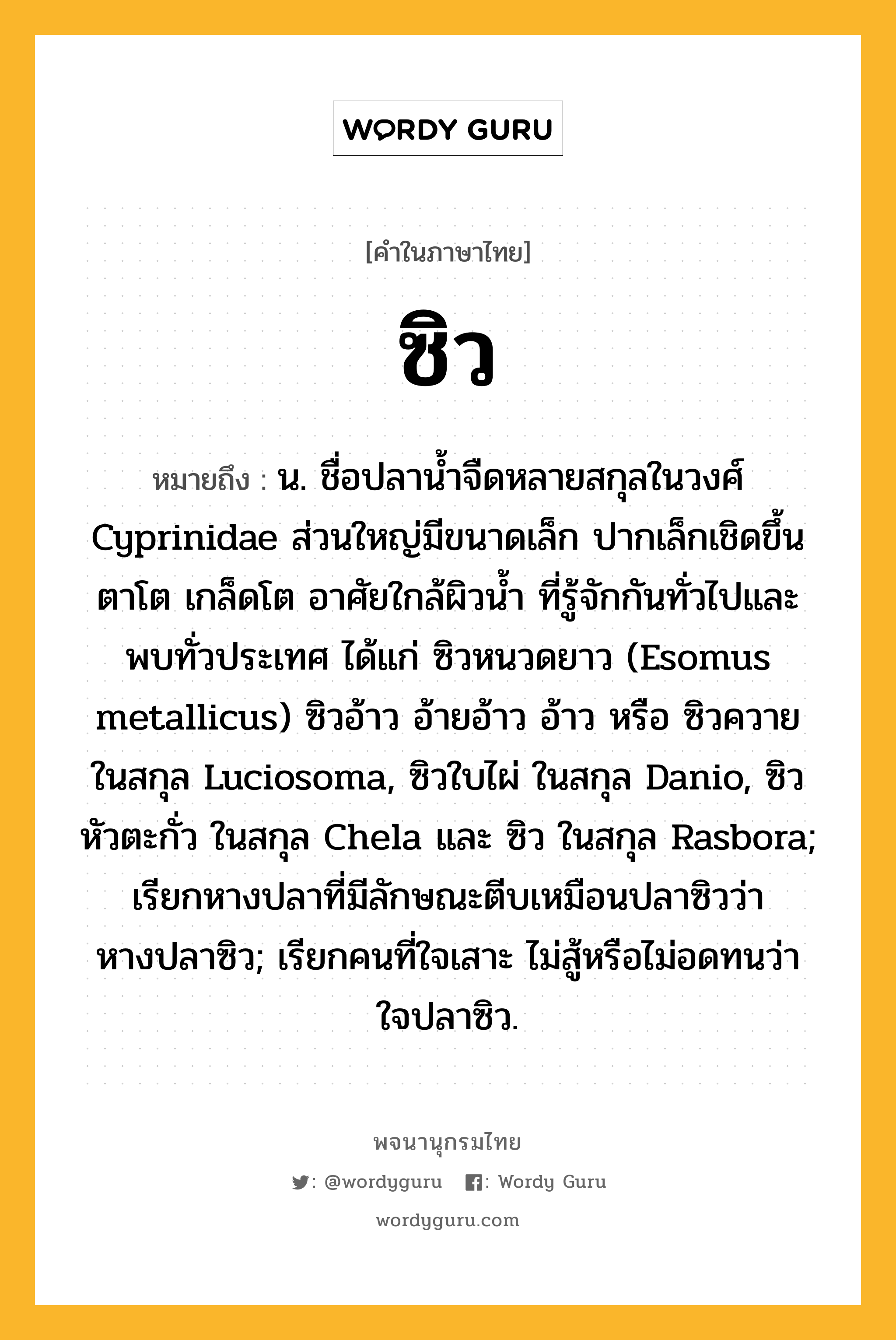 ซิว ความหมาย หมายถึงอะไร?, คำในภาษาไทย ซิว หมายถึง น. ชื่อปลานํ้าจืดหลายสกุลในวงศ์ Cyprinidae ส่วนใหญ่มีขนาดเล็ก ปากเล็กเชิดขึ้น ตาโต เกล็ดโต อาศัยใกล้ผิวนํ้า ที่รู้จักกันทั่วไปและพบทั่วประเทศ ได้แก่ ซิวหนวดยาว (Esomus metallicus) ซิวอ้าว อ้ายอ้าว อ้าว หรือ ซิวควาย ในสกุล Luciosoma, ซิวใบไผ่ ในสกุล Danio, ซิวหัวตะกั่ว ในสกุล Chela และ ซิว ในสกุล Rasbora; เรียกหางปลาที่มีลักษณะตีบเหมือนปลาซิวว่า หางปลาซิว; เรียกคนที่ใจเสาะ ไม่สู้หรือไม่อดทนว่า ใจปลาซิว.