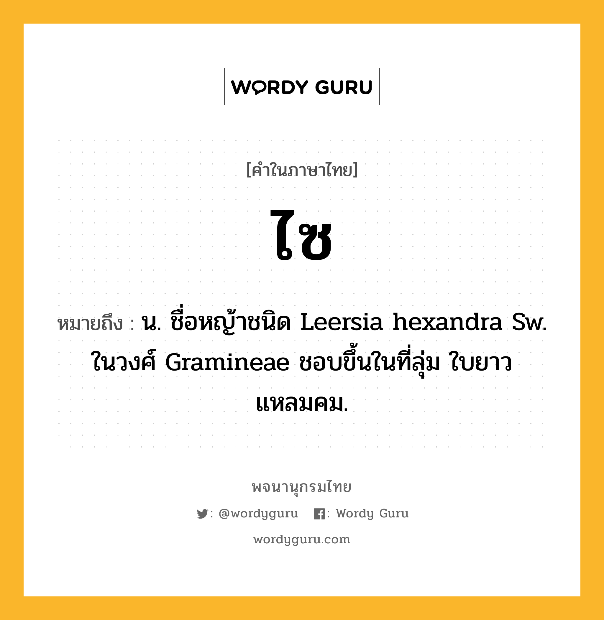 ไซ ความหมาย หมายถึงอะไร?, คำในภาษาไทย ไซ หมายถึง น. ชื่อหญ้าชนิด Leersia hexandra Sw. ในวงศ์ Gramineae ชอบขึ้นในที่ลุ่ม ใบยาวแหลมคม.