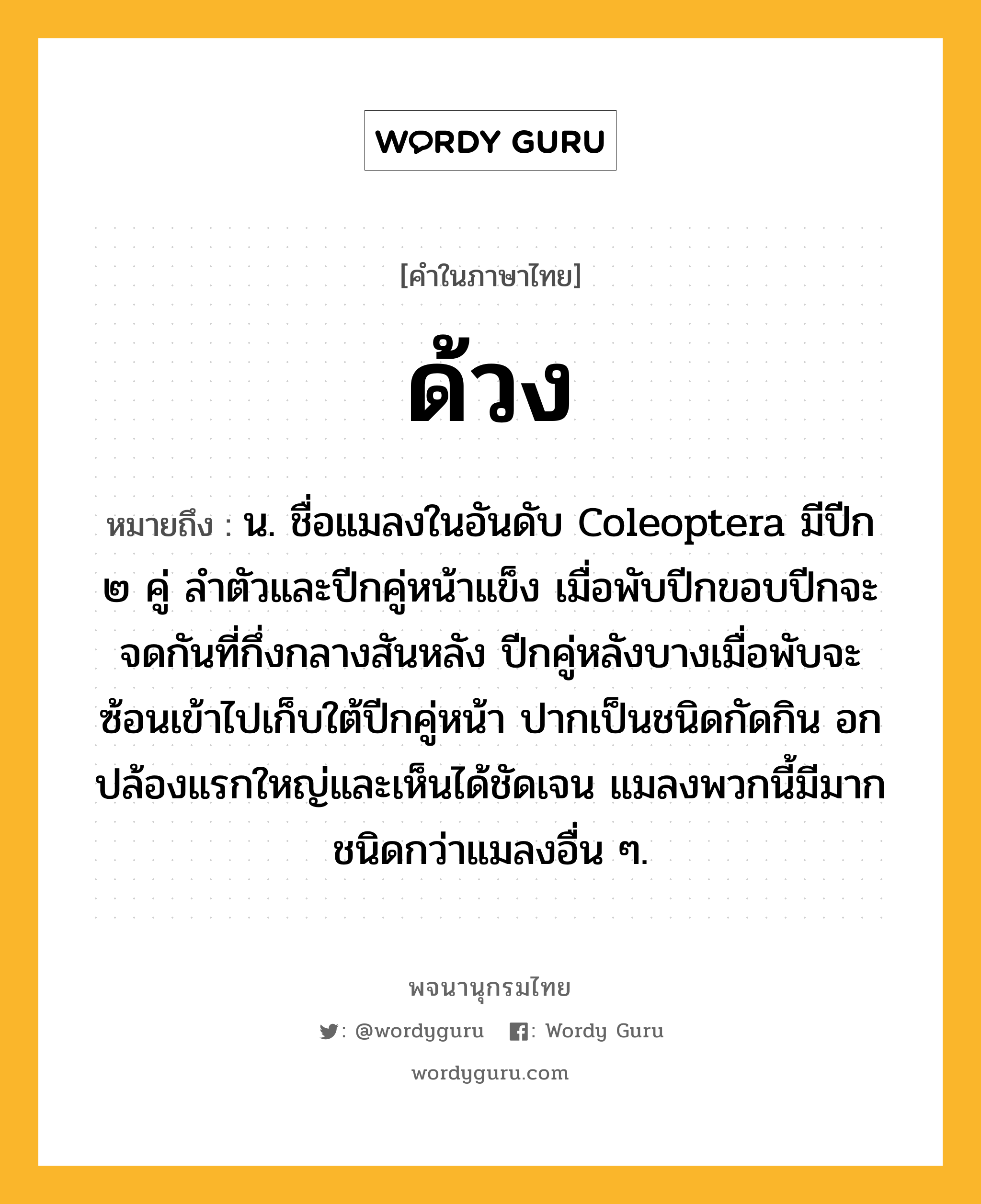 ด้วง ความหมาย หมายถึงอะไร?, คำในภาษาไทย ด้วง หมายถึง น. ชื่อแมลงในอันดับ Coleoptera มีปีก ๒ คู่ ลําตัวและปีกคู่หน้าแข็ง เมื่อพับปีกขอบปีกจะจดกันที่กึ่งกลางสันหลัง ปีกคู่หลังบางเมื่อพับจะซ้อนเข้าไปเก็บใต้ปีกคู่หน้า ปากเป็นชนิดกัดกิน อกปล้องแรกใหญ่และเห็นได้ชัดเจน แมลงพวกนี้มีมากชนิดกว่าแมลงอื่น ๆ.