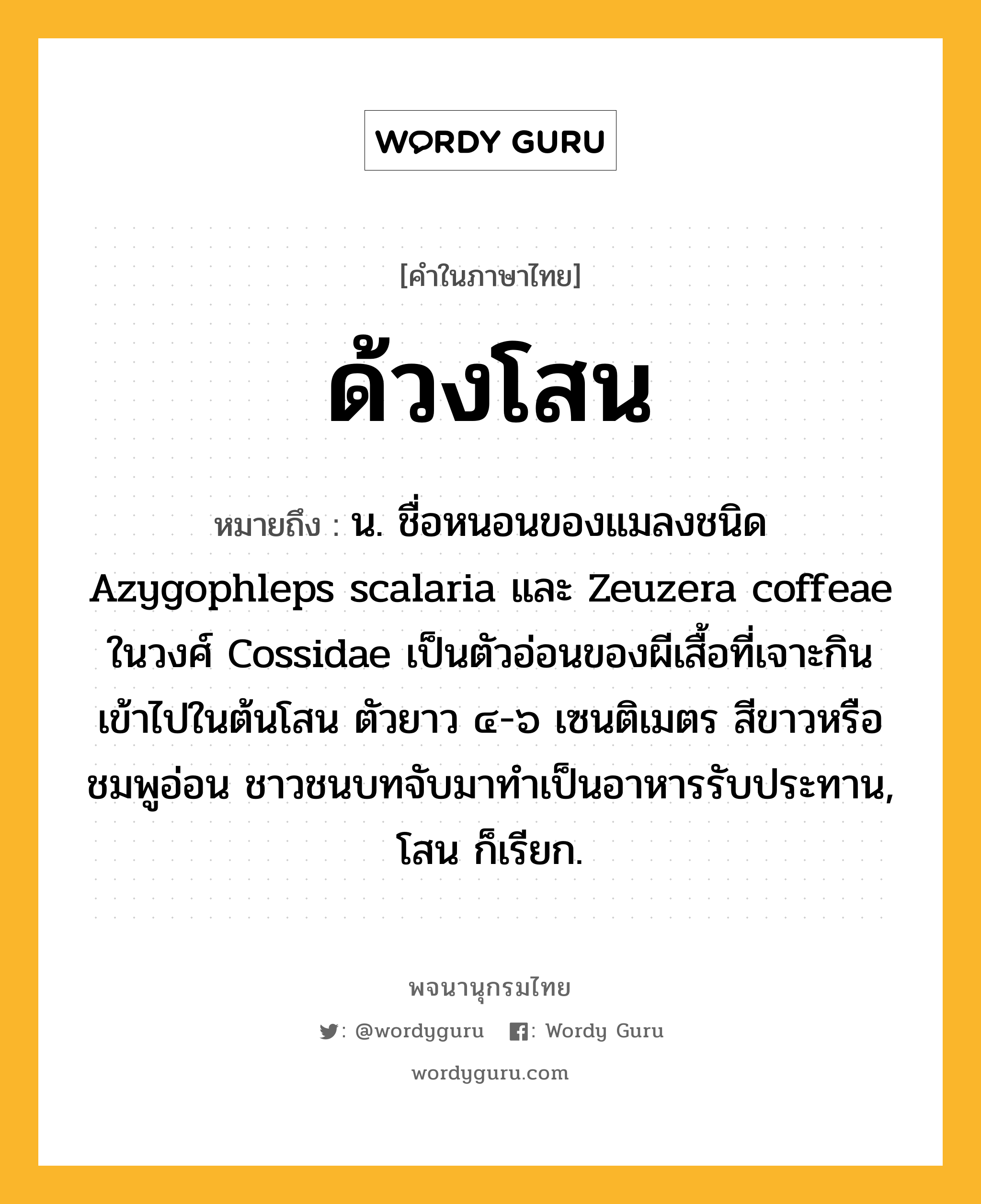 ด้วงโสน ความหมาย หมายถึงอะไร?, คำในภาษาไทย ด้วงโสน หมายถึง น. ชื่อหนอนของแมลงชนิด Azygophleps scalaria และ Zeuzera coffeae ในวงศ์ Cossidae เป็นตัวอ่อนของผีเสื้อที่เจาะกินเข้าไปในต้นโสน ตัวยาว ๔-๖ เซนติเมตร สีขาวหรือชมพูอ่อน ชาวชนบทจับมาทําเป็นอาหารรับประทาน, โสน ก็เรียก.