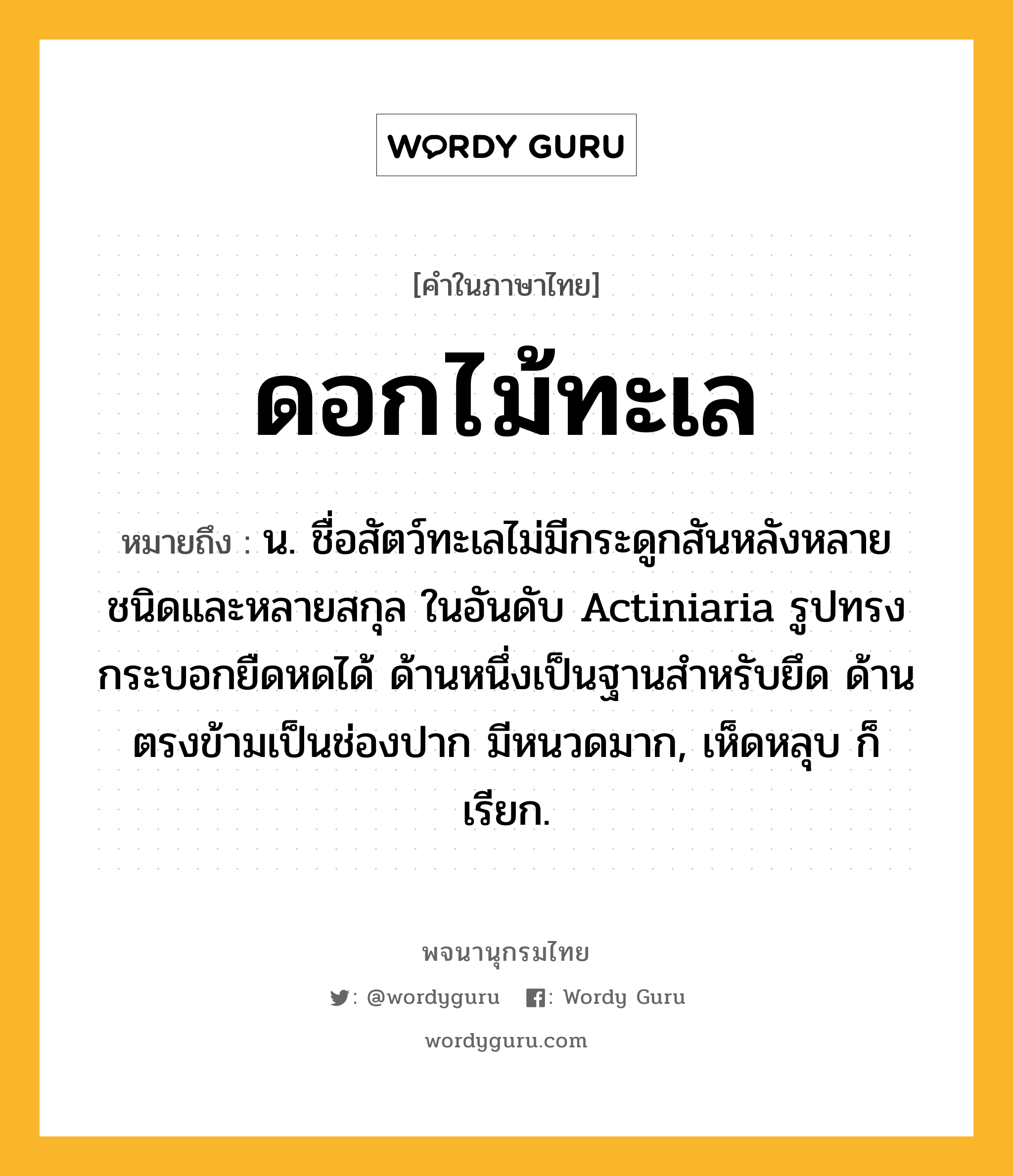 ดอกไม้ทะเล ความหมาย หมายถึงอะไร?, คำในภาษาไทย ดอกไม้ทะเล หมายถึง น. ชื่อสัตว์ทะเลไม่มีกระดูกสันหลังหลายชนิดและหลายสกุล ในอันดับ Actiniaria รูปทรงกระบอกยืดหดได้ ด้านหนึ่งเป็นฐานสําหรับยึด ด้านตรงข้ามเป็นช่องปาก มีหนวดมาก, เห็ดหลุบ ก็เรียก.